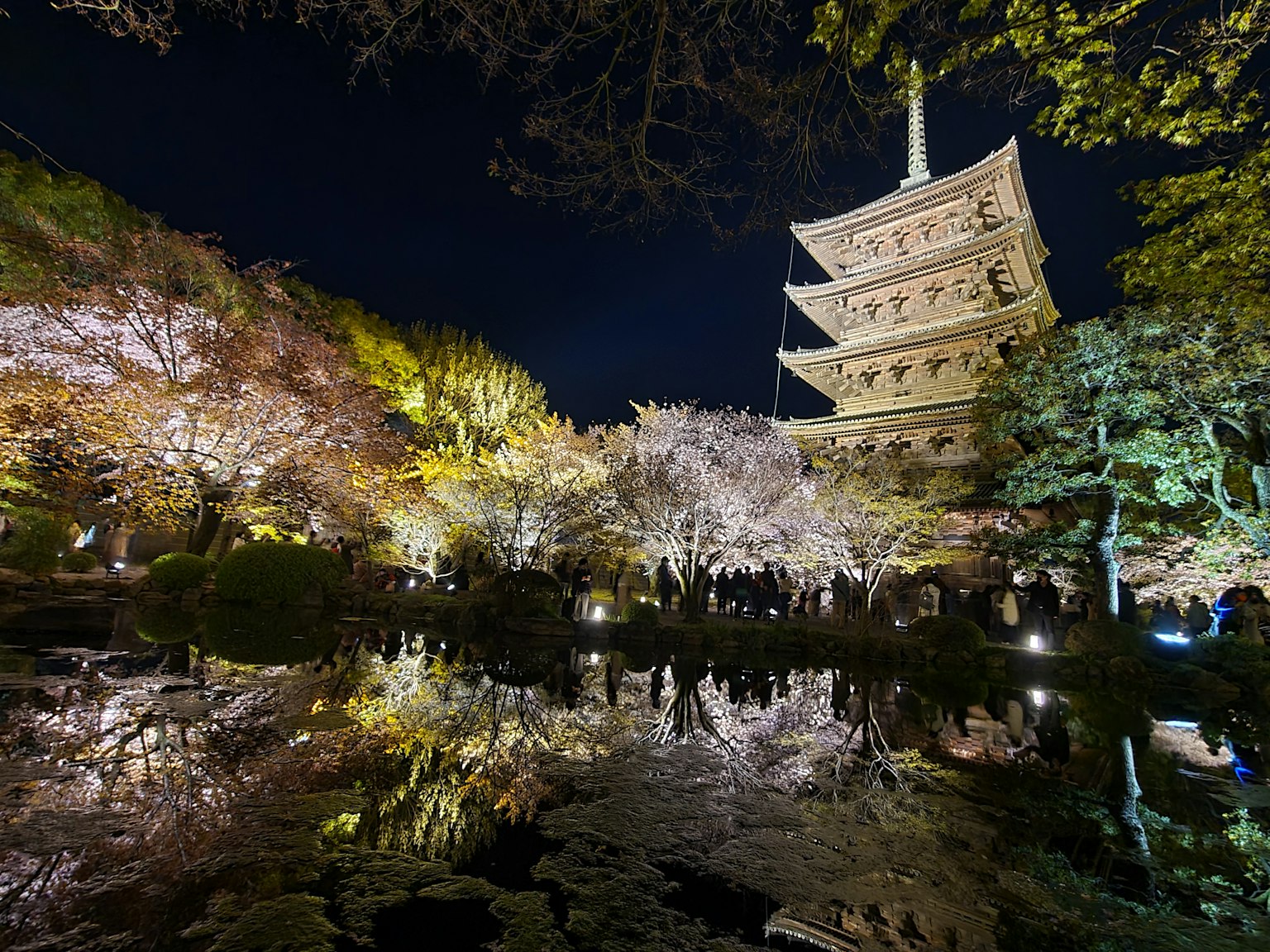 Pemandangan malam yang indah dari bunga sakura dan pagoda lima lantai
