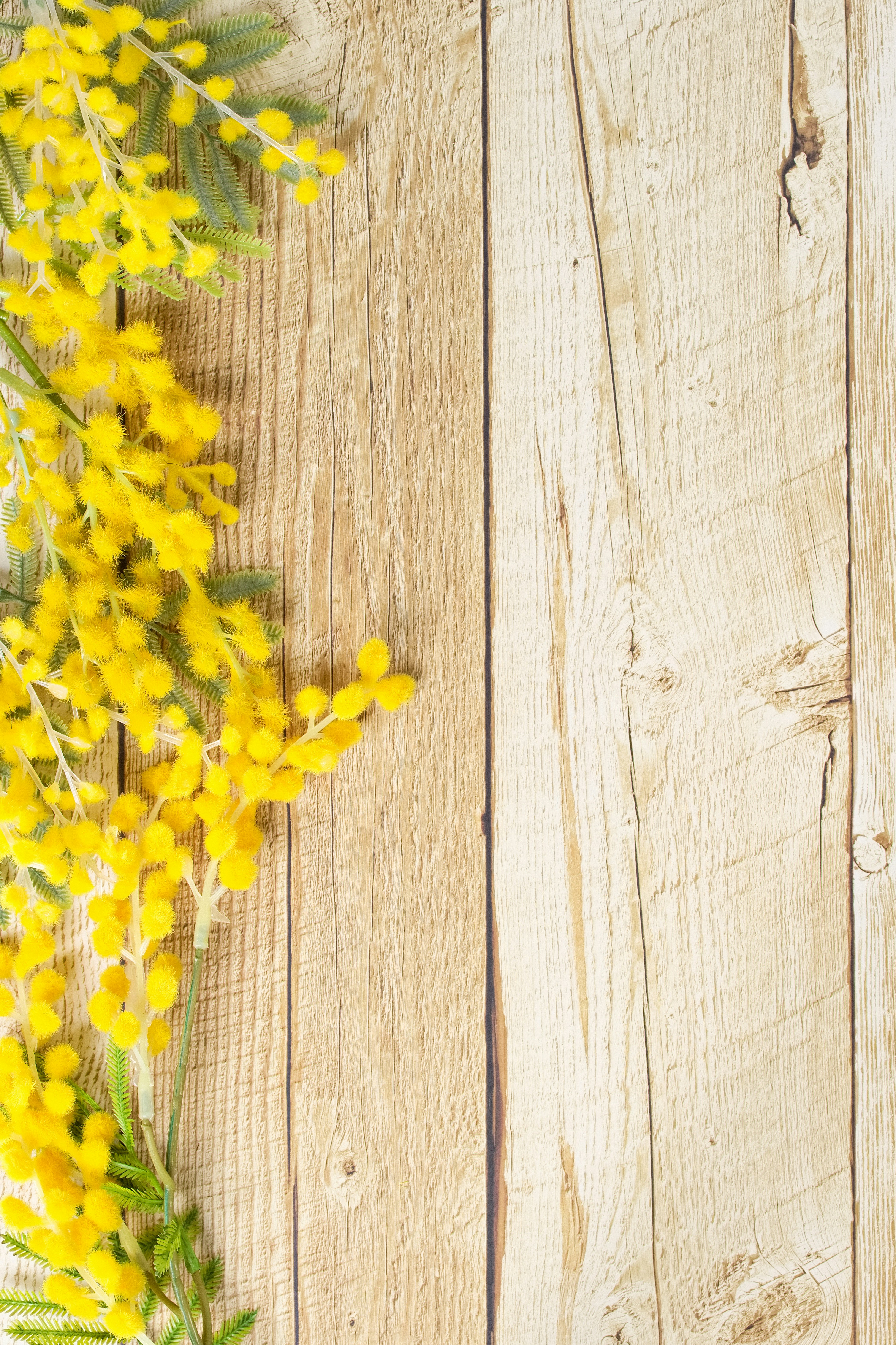 木目の板に添えられたミモザの花