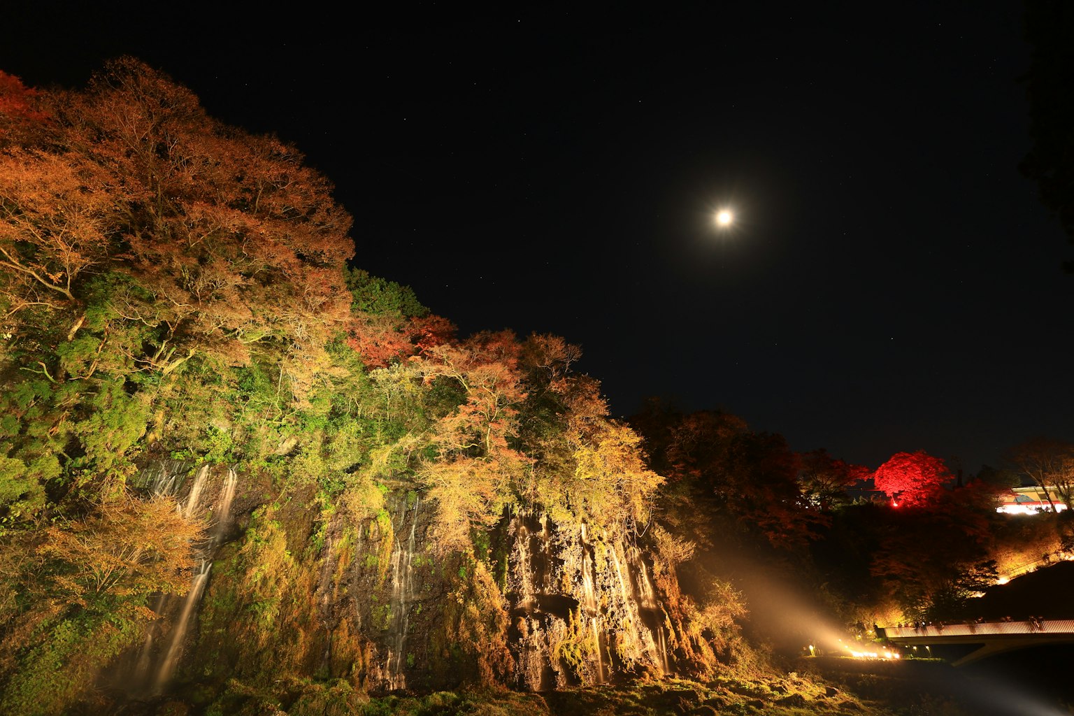 Mondschein-Nacht mit beleuchtetem Herbstlaub und Felsen