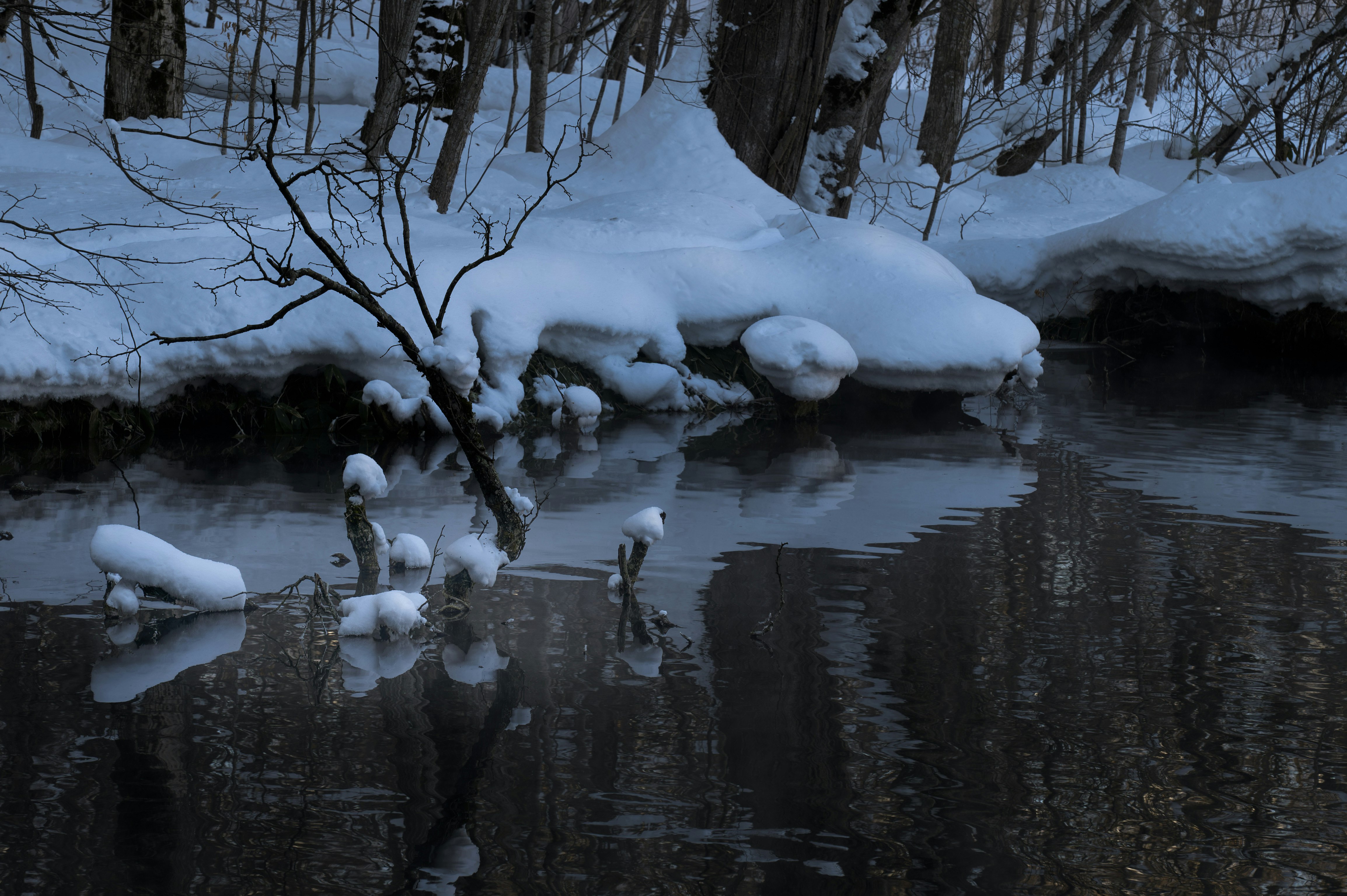 雪の積もる小川と岸辺の木々の風景