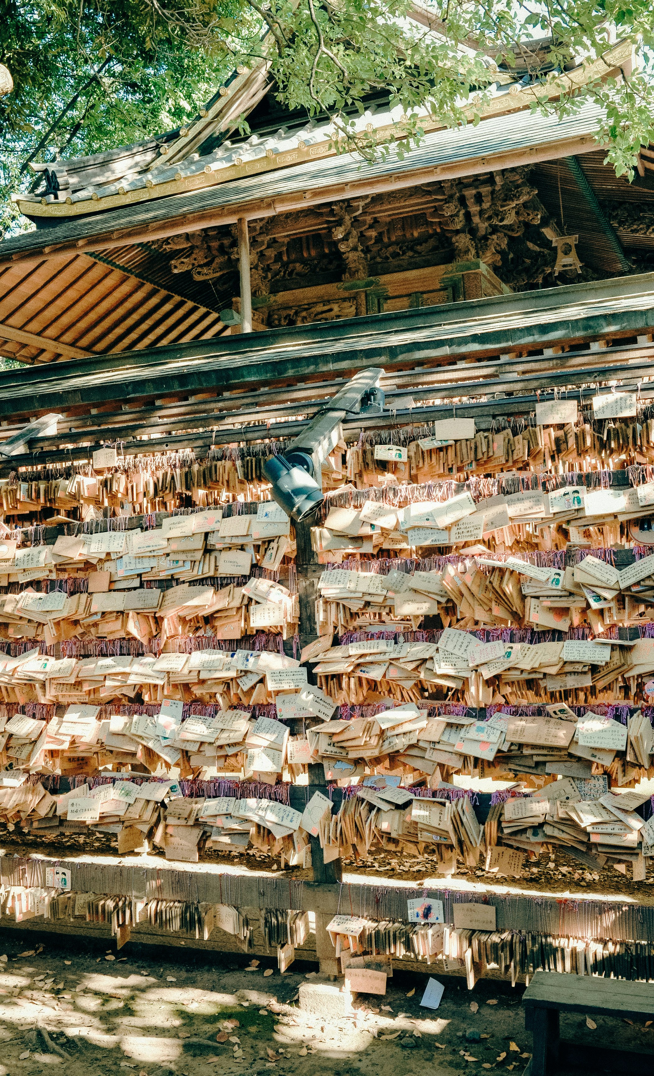 A walkway scene with countless wooden prayer plaques hanging under trees