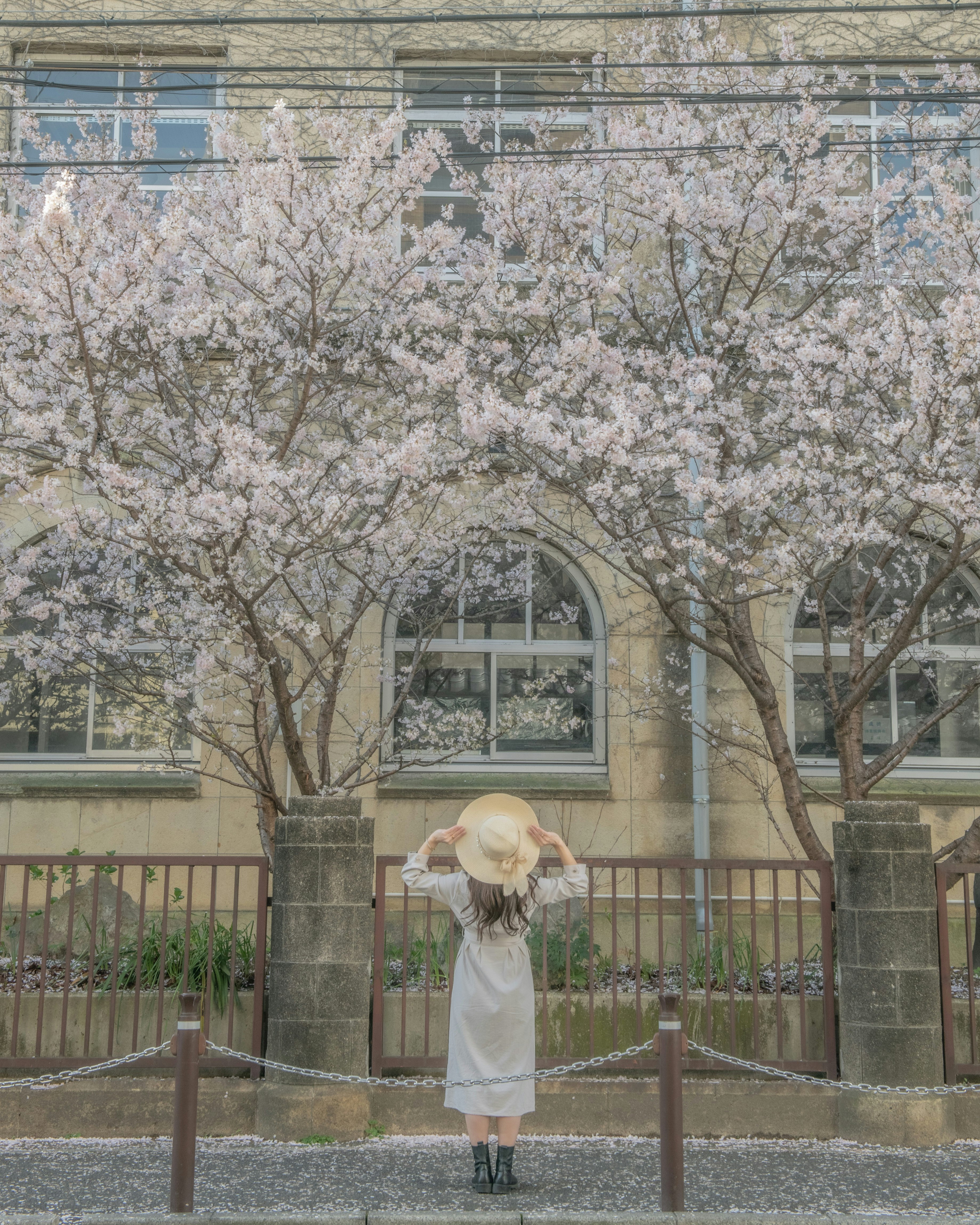 桜の木の下で立つ人物