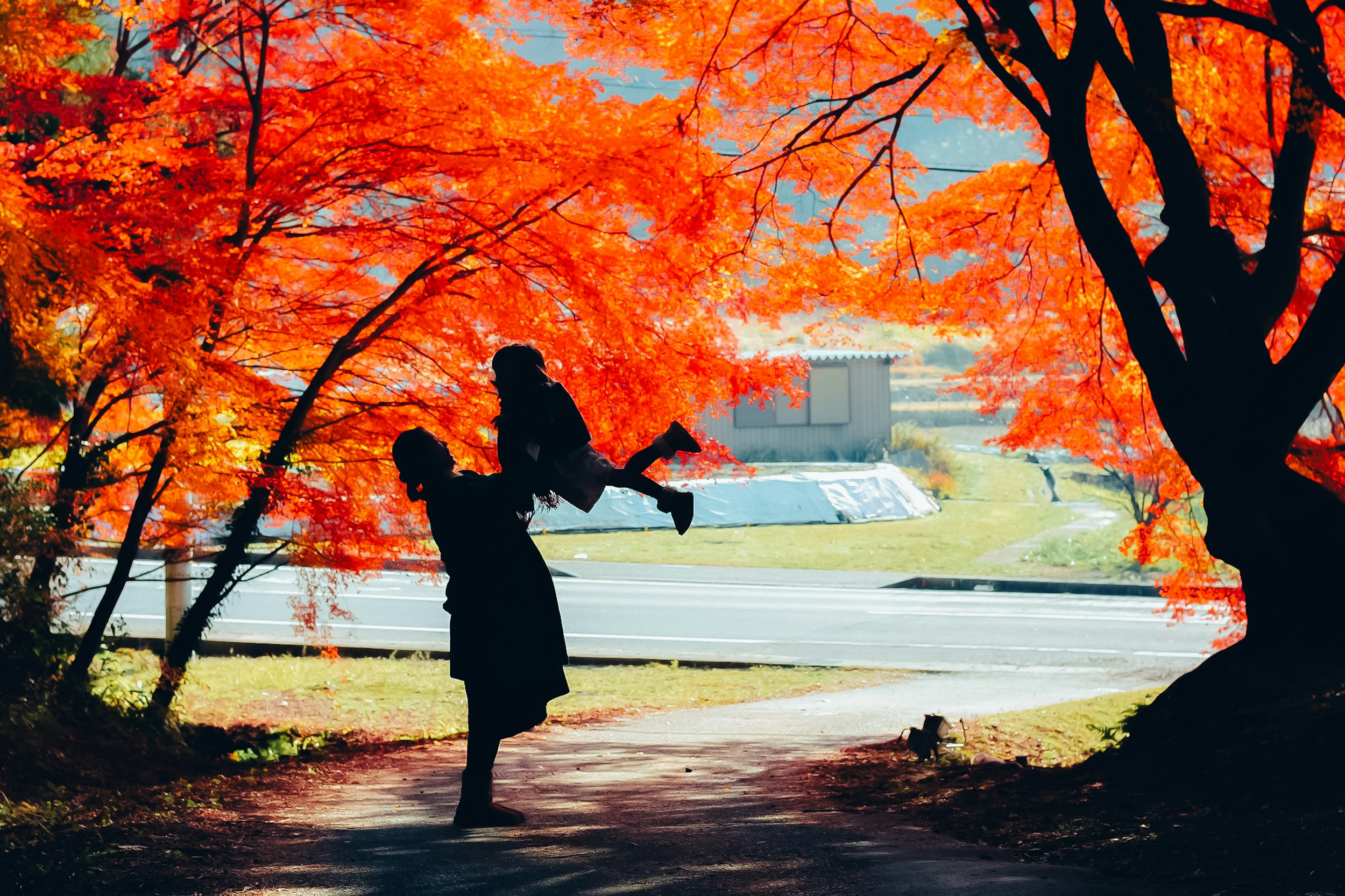 紅葉の並木道を歩くシルエット