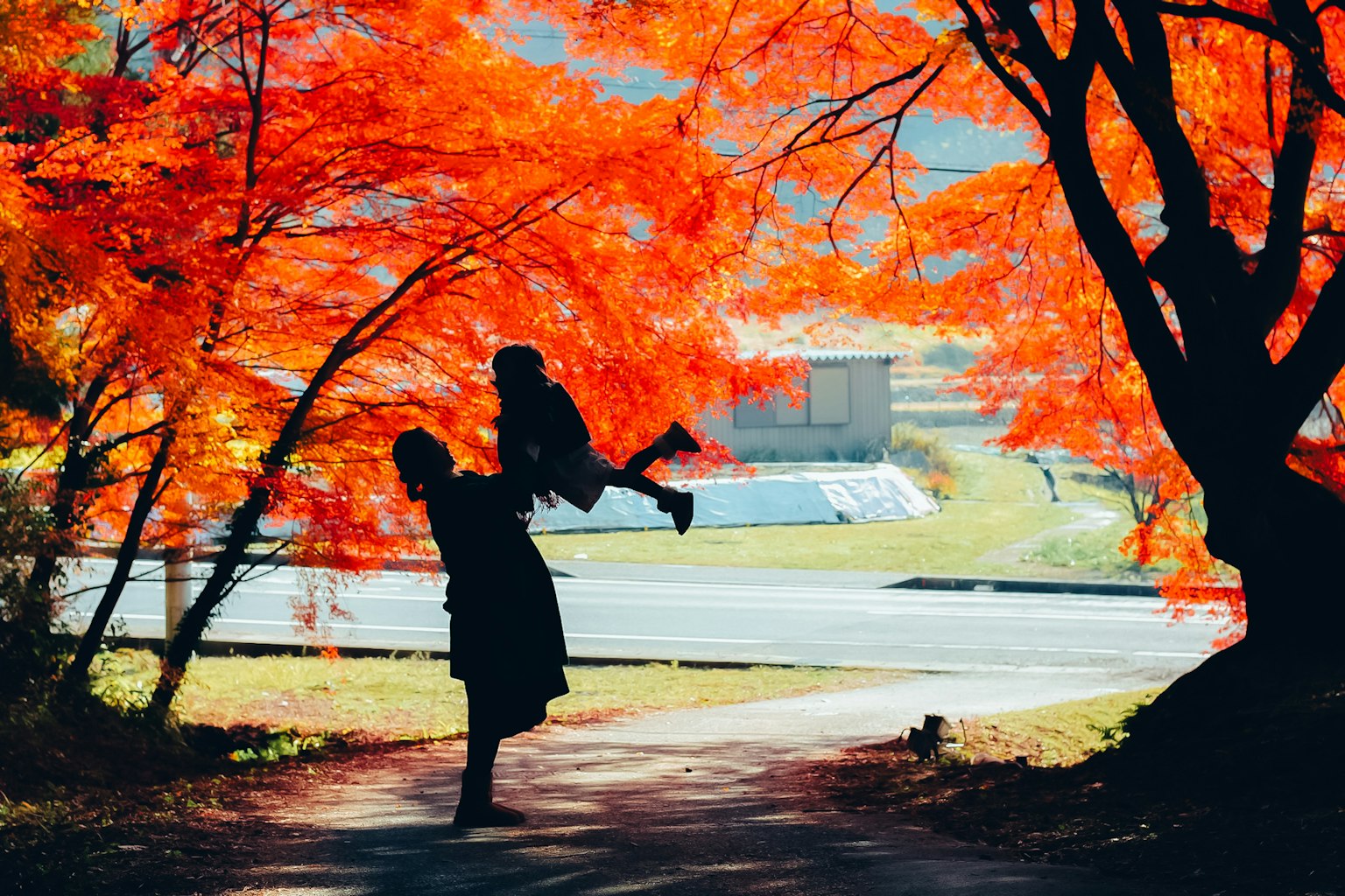 Silhouette d'un parent portant un enfant parmi un feuillage d'automne vibrant