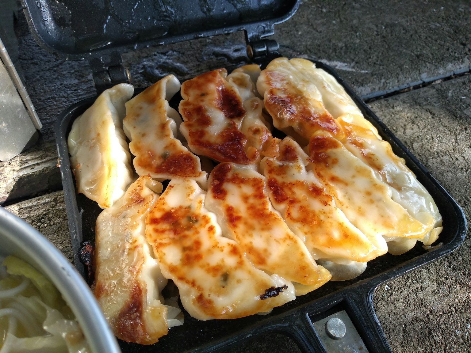 Immagine che mostra un piatto di gyoza grigliati