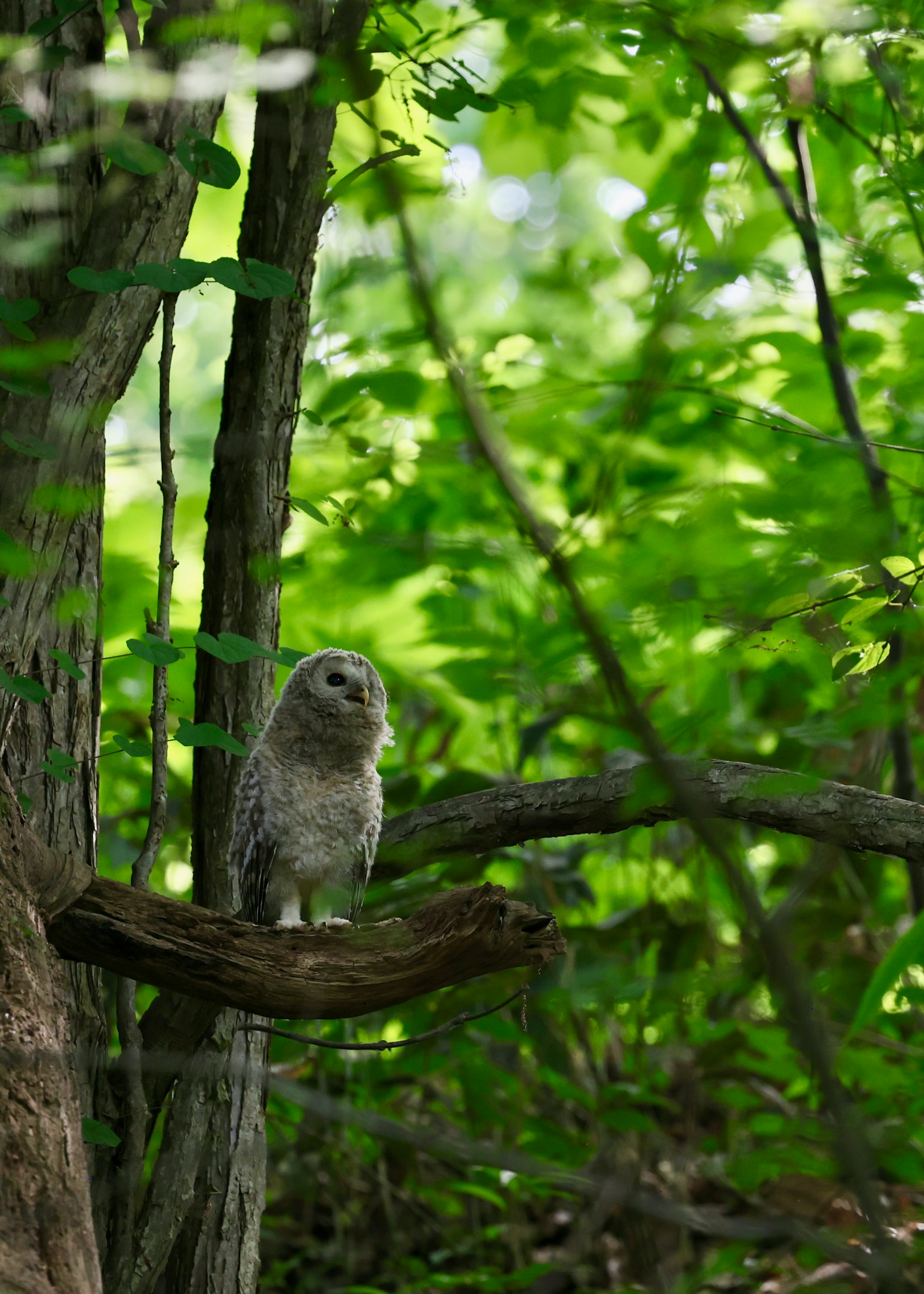 photo-Qb4LdvHg2I9TBQJ79tNP-image