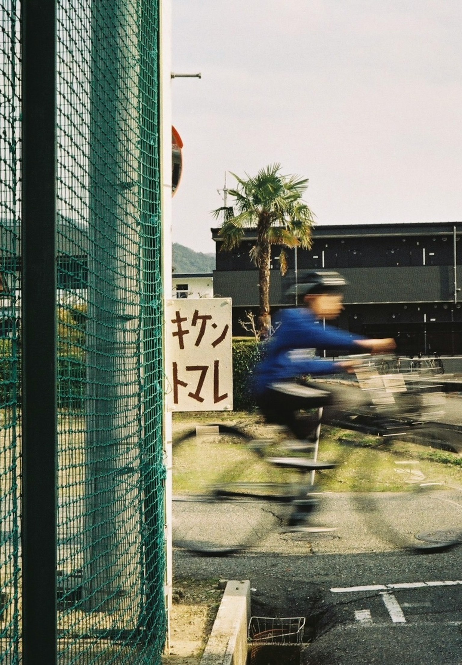 Una persona vestida de azul montando una bicicleta con una palmera y un edificio negro al fondo