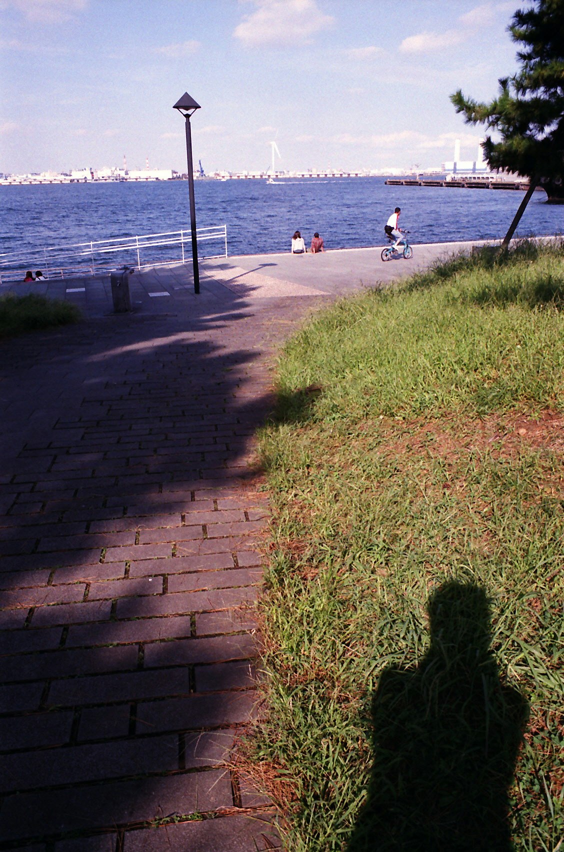 横浜の海辺の遊歩道と芝生の景色
