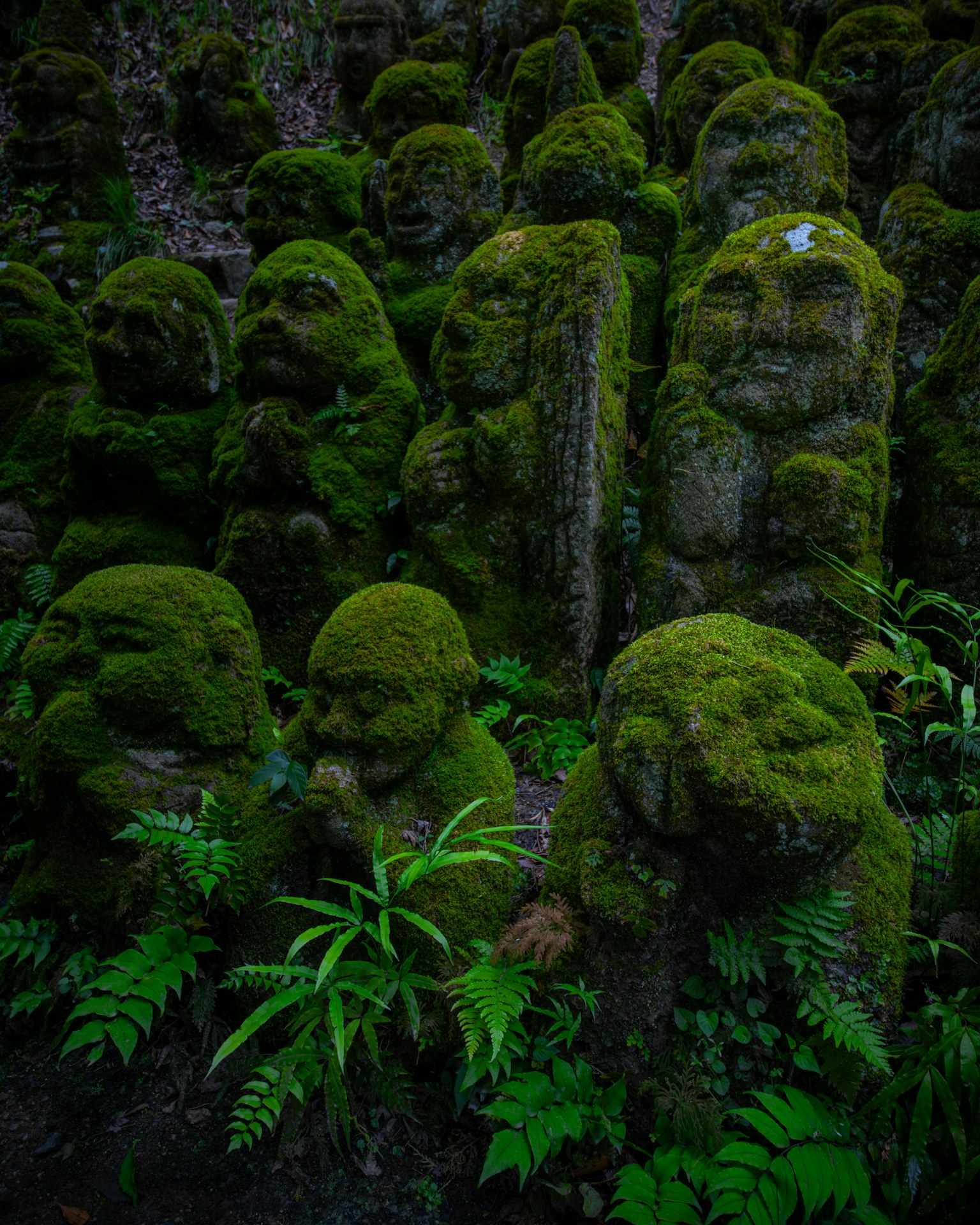Statues en pierre recouvertes de mousse dans un cadre forestier mystérieux
