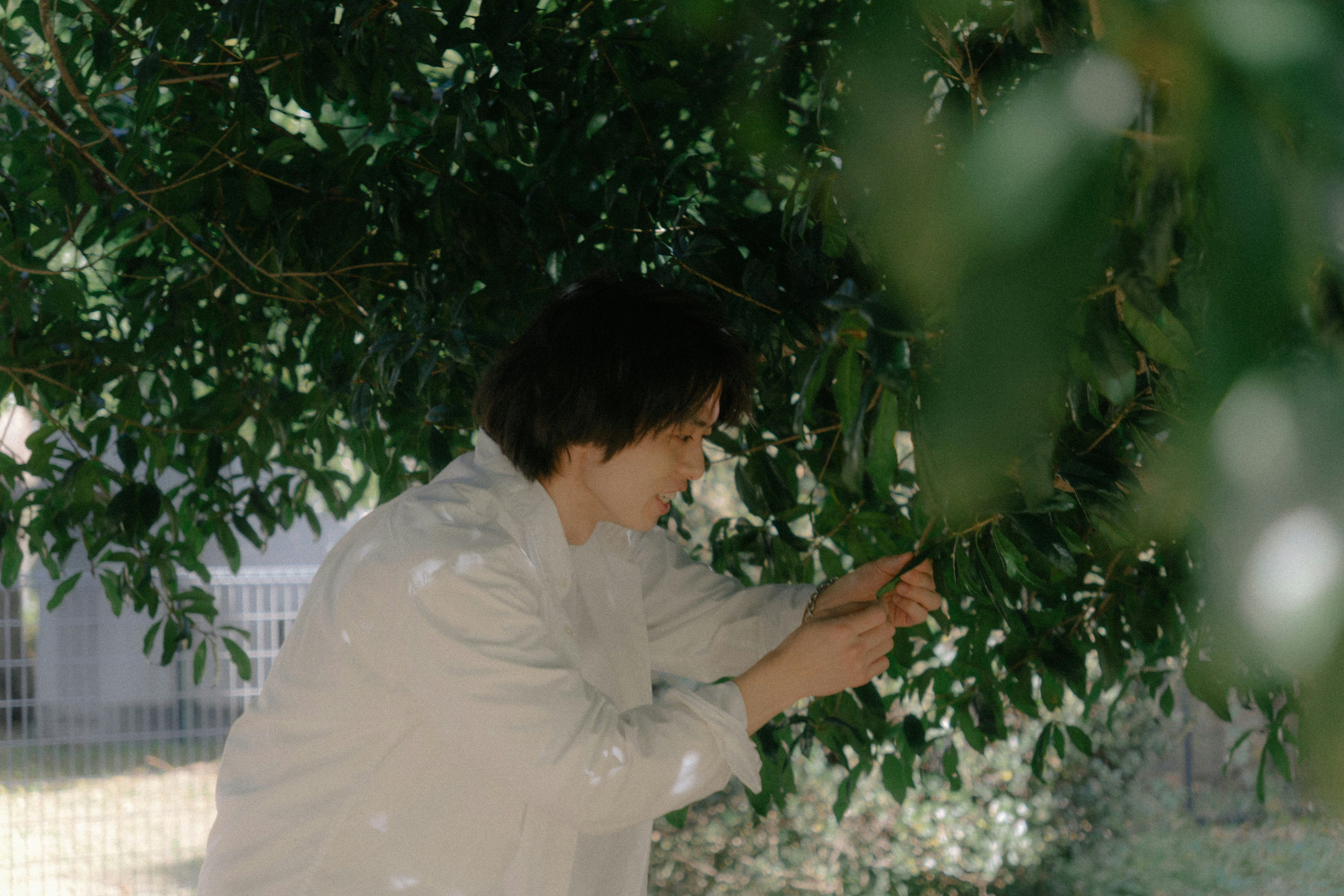 ambiance paisible de jardin avec une personne touchant des branches d’arbre