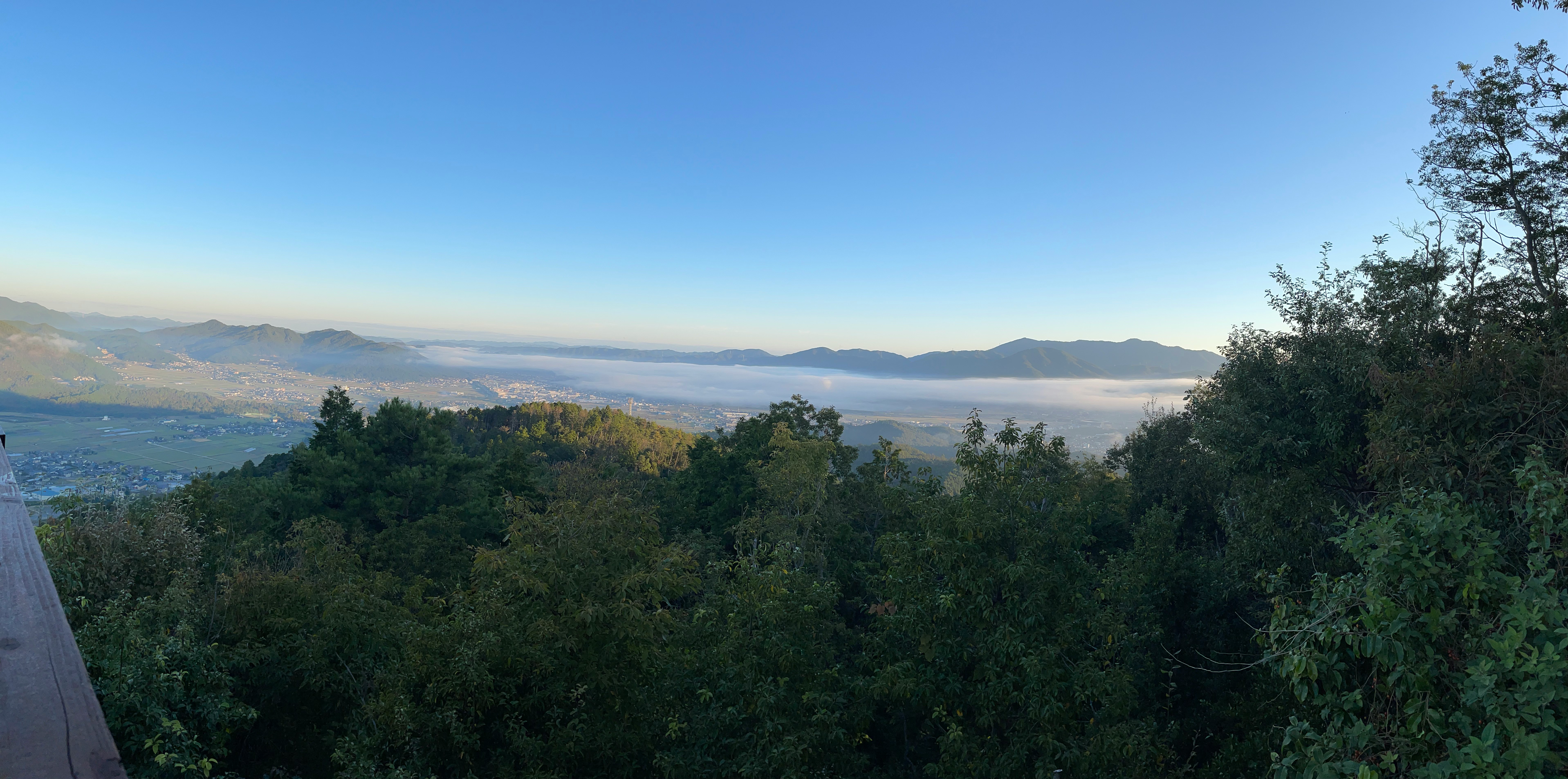 森の木々越しに広がる海のような湾と遠景の山並み
