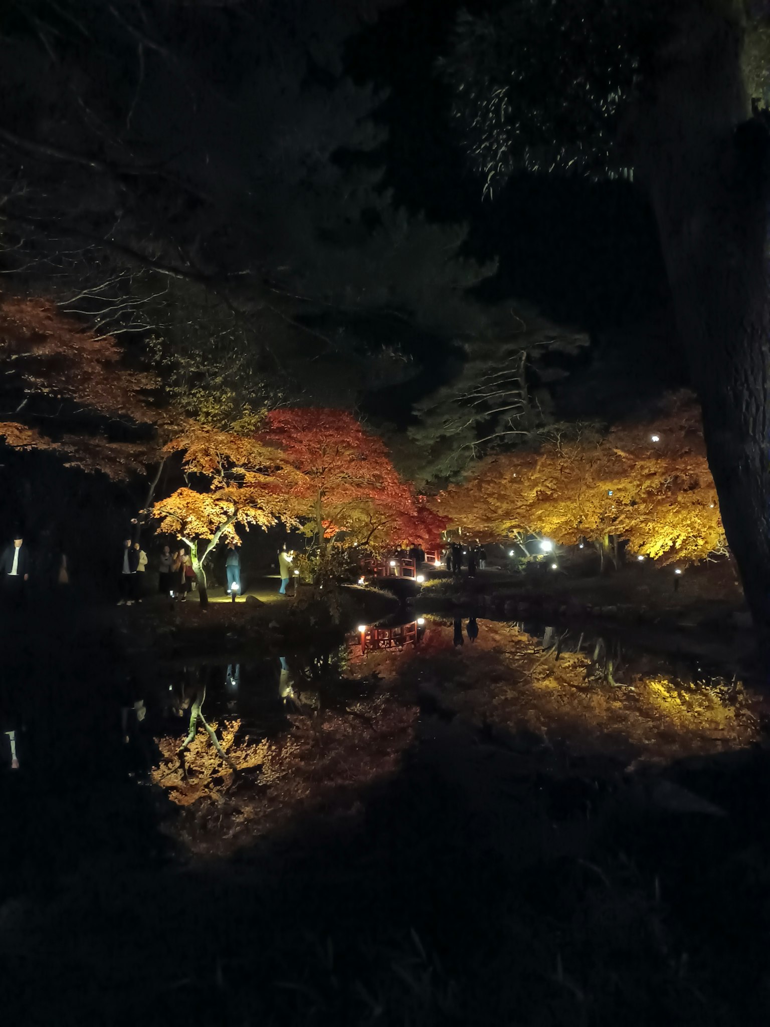 Magnifique scène nocturne avec des feuilles d'automne se reflétant sur l'eau