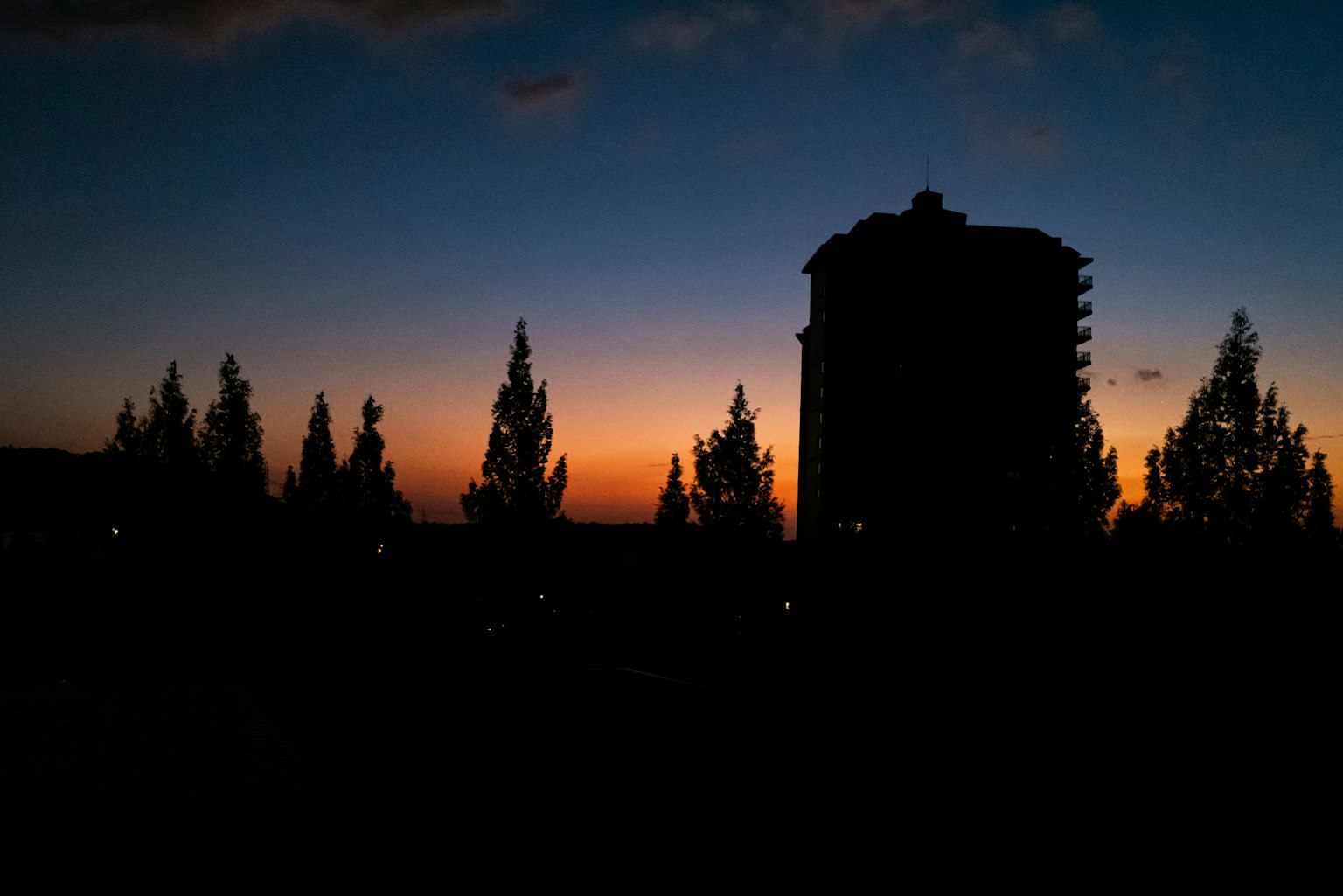 夕焼けの中に silhouetted な建物と木々が見える風景