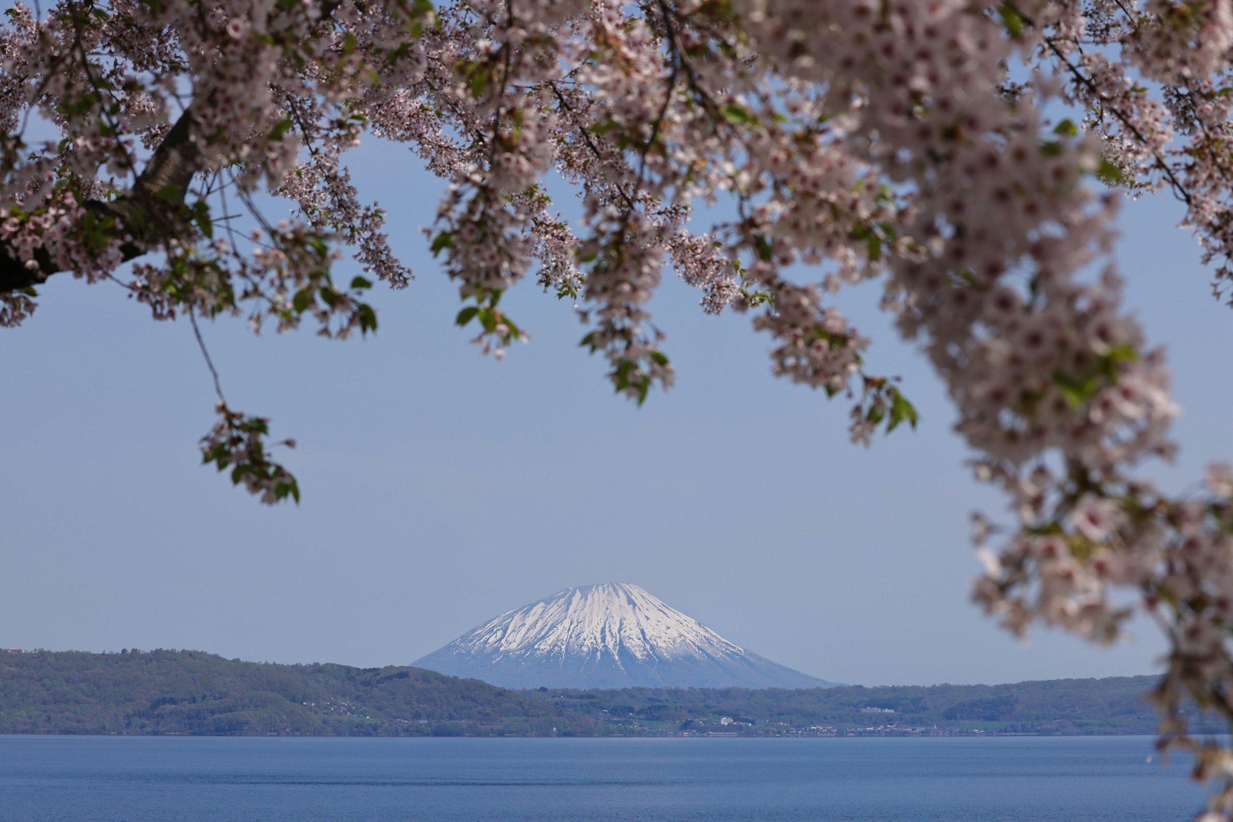 樱花枝间的富士山与湖畔风景