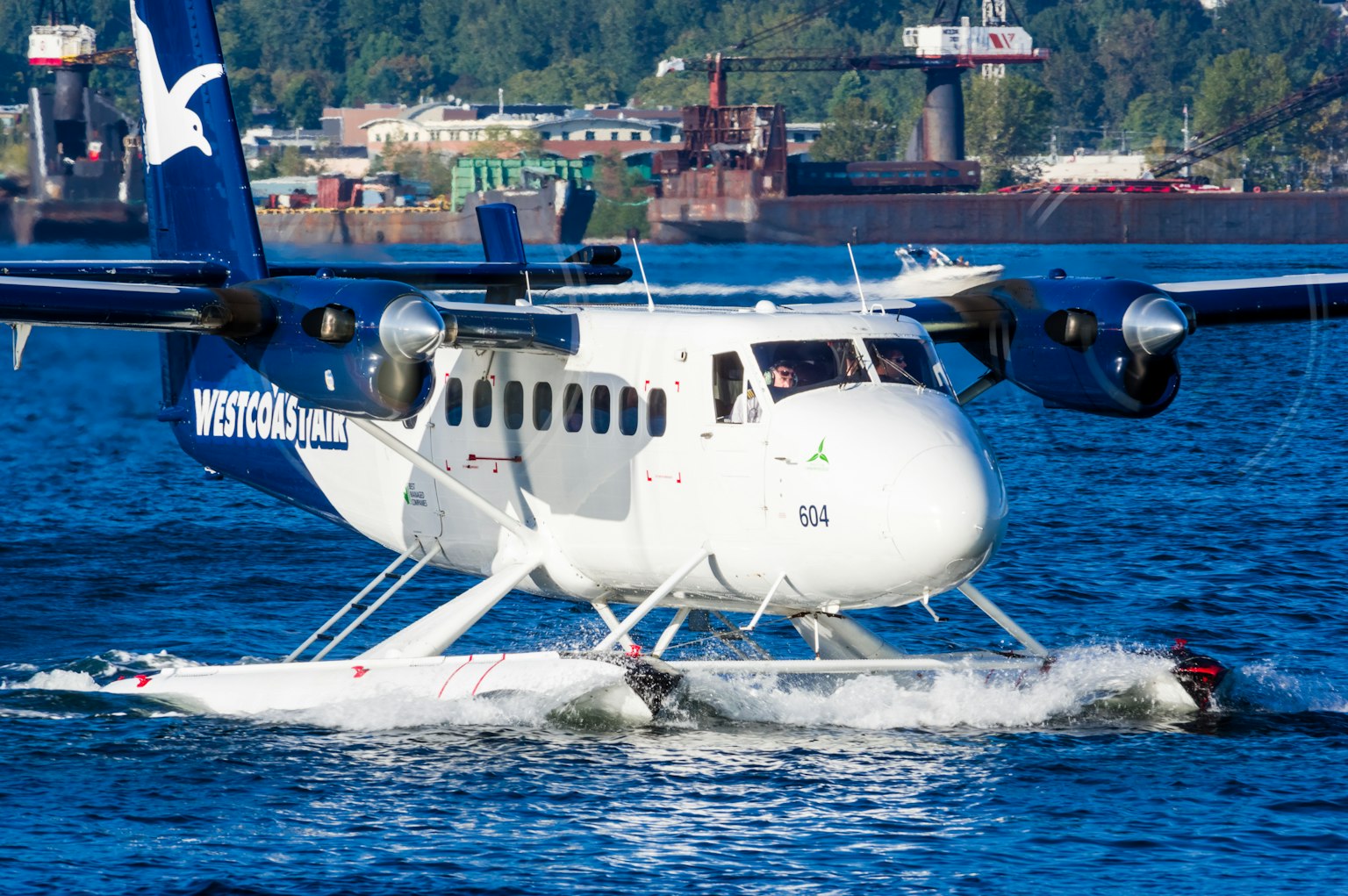 Cessna-Wasserflugzeug landet auf dem Wasser mit einem Hafen im Hintergrund