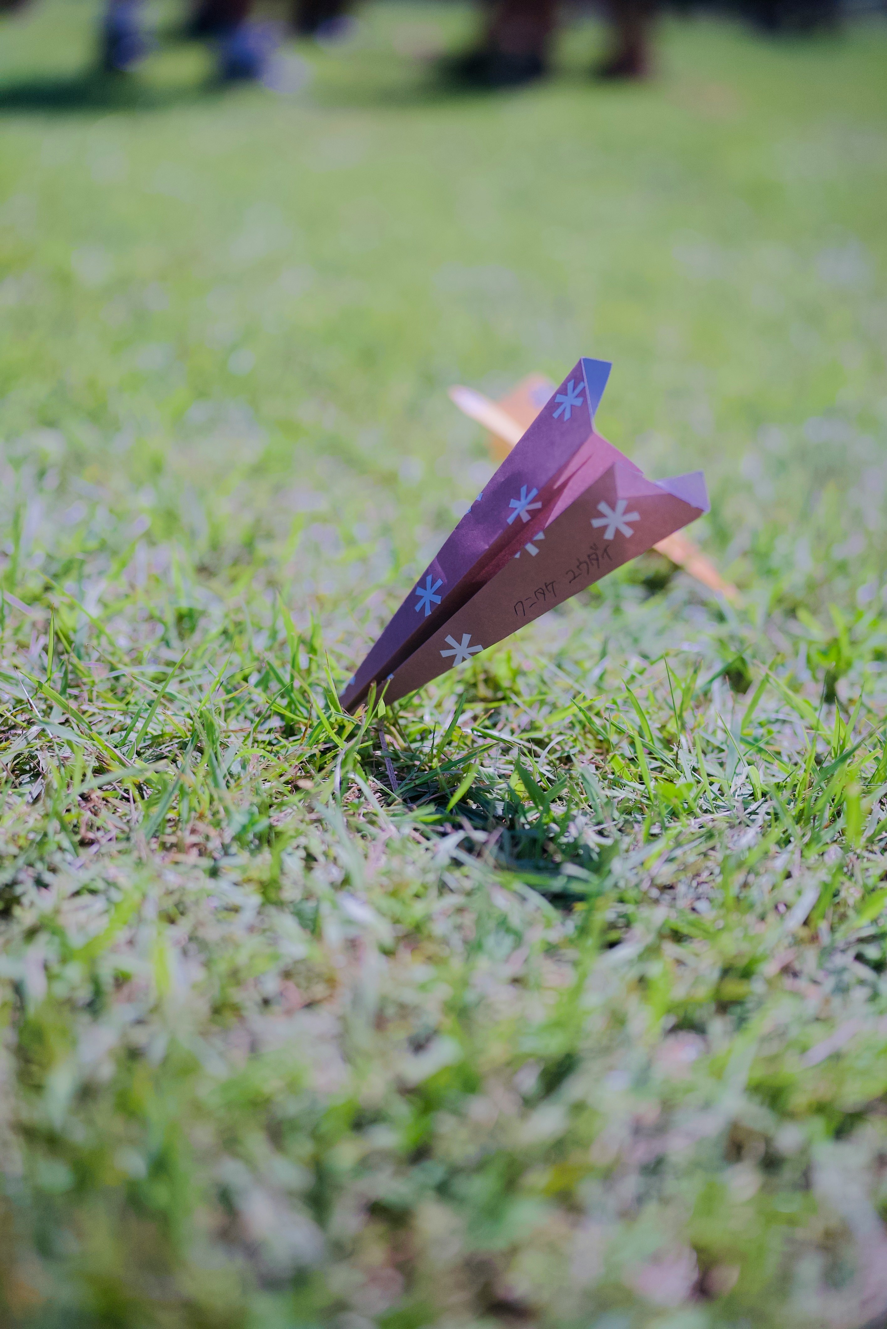芝生の上に置かれた折り紙の紙飛行機