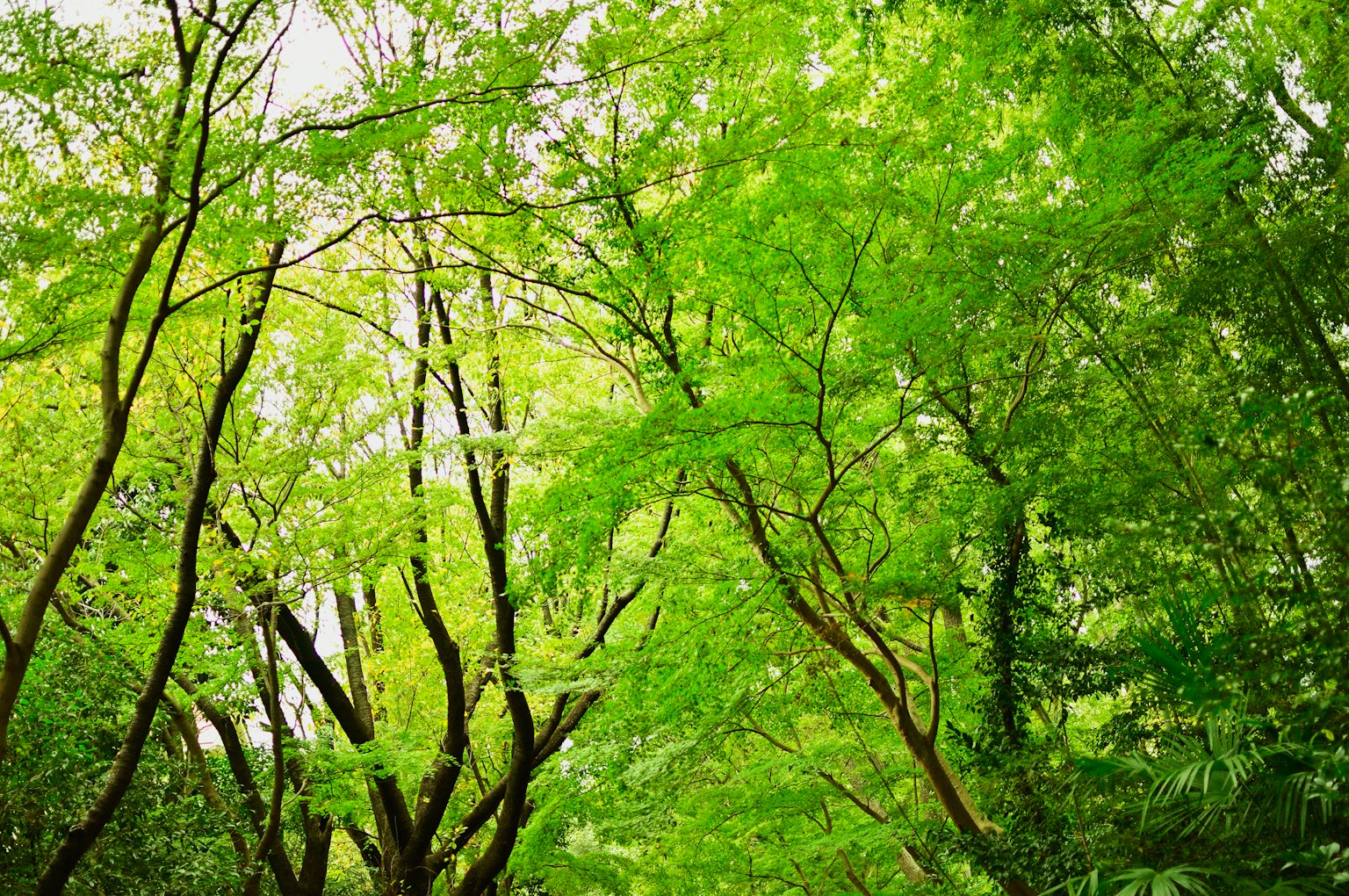 photo-QeTZAmTSBdHsgxIxNA3w-image