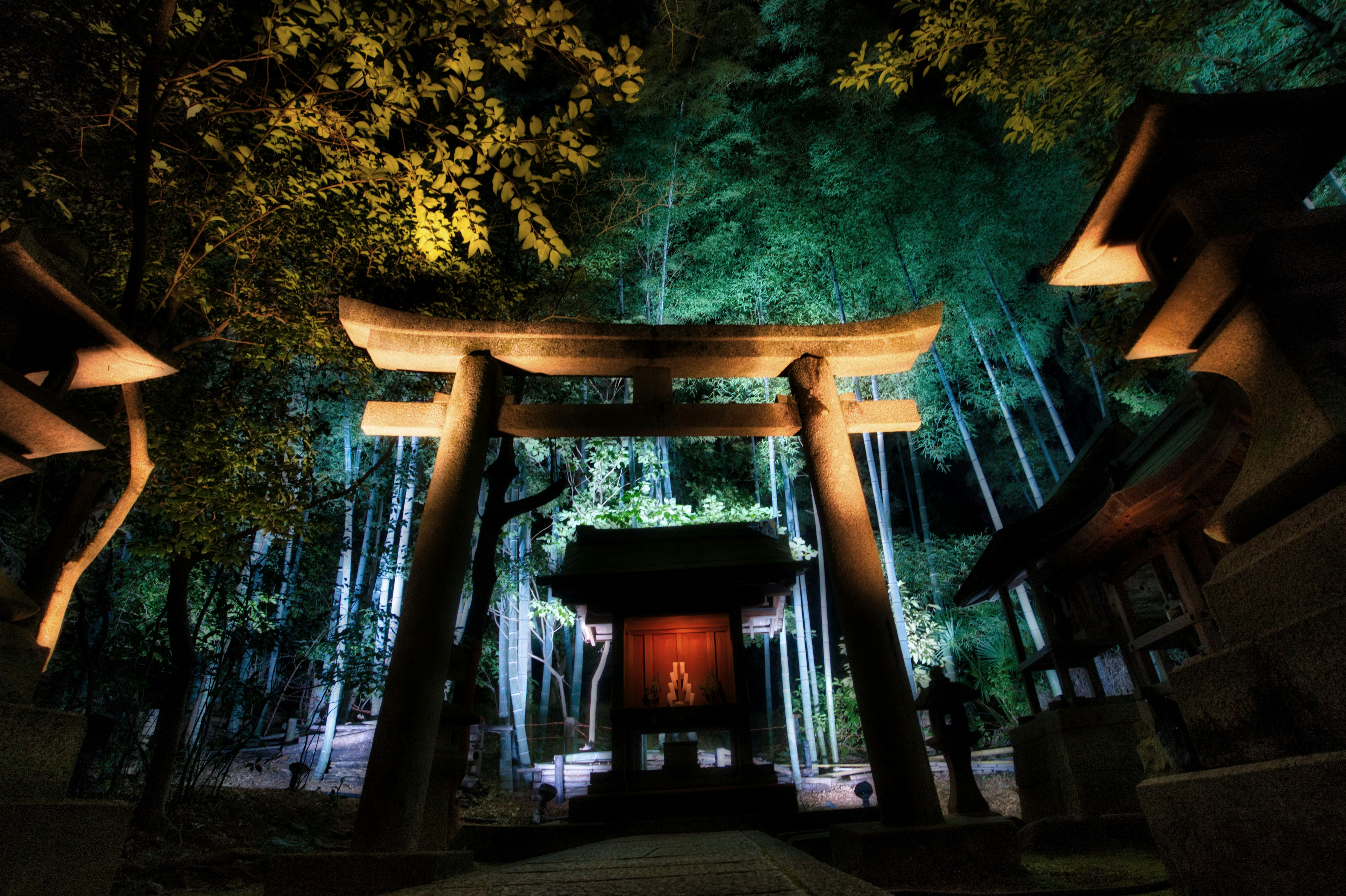 青蓮院の東山花灯路で並ぶ鳥居の夜景