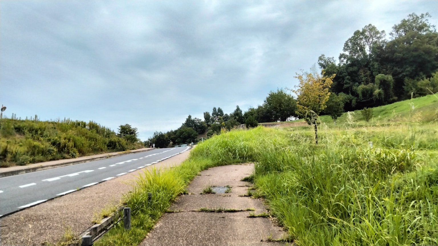Pflasterweg neben einer Grasfläche und einer Straße unter einem bewölkten Himmel