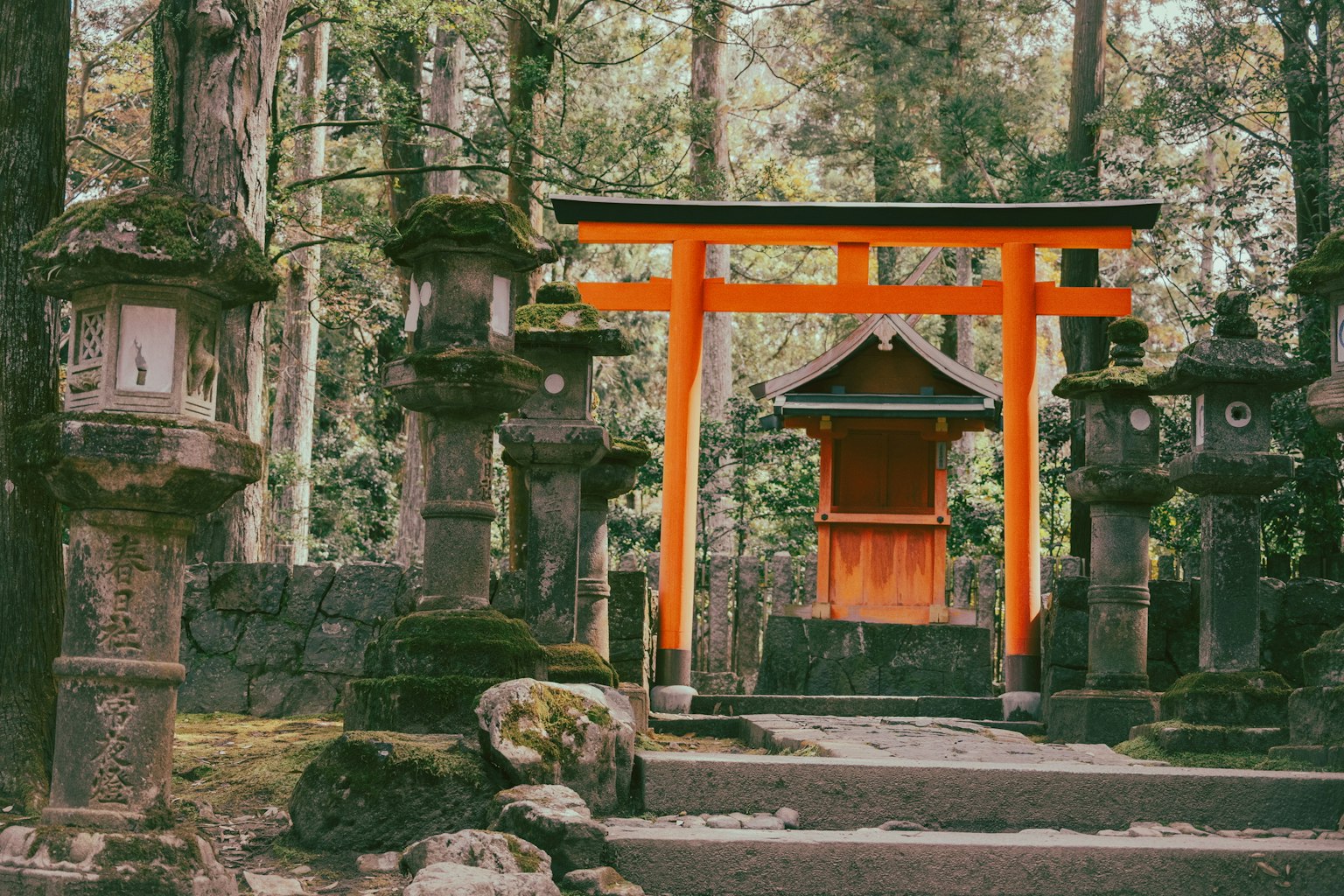 寧靜森林中的橙色鳥居和石燈籠