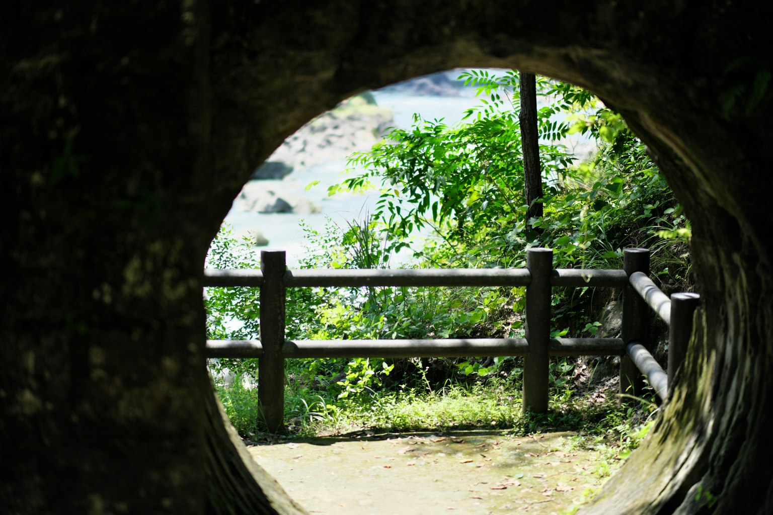 隧道状开口，展示木栅栏和郁郁葱葱的绿色植物