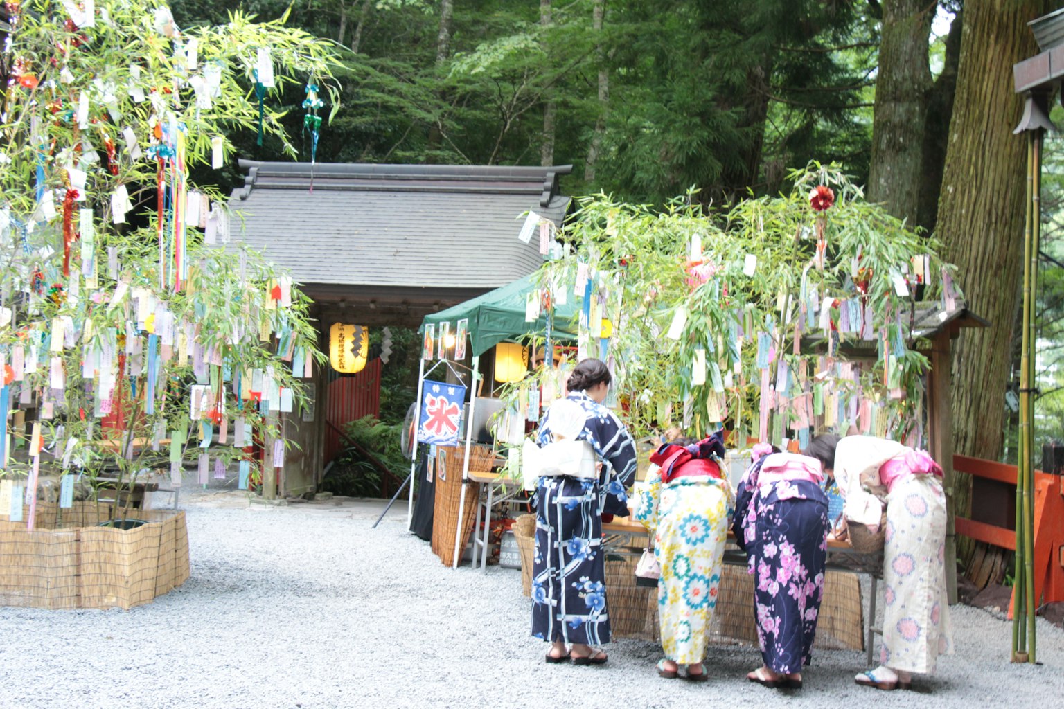 색색의 소원 띠로 장식된 신사를 방문하는 기모노를 입은 사람들