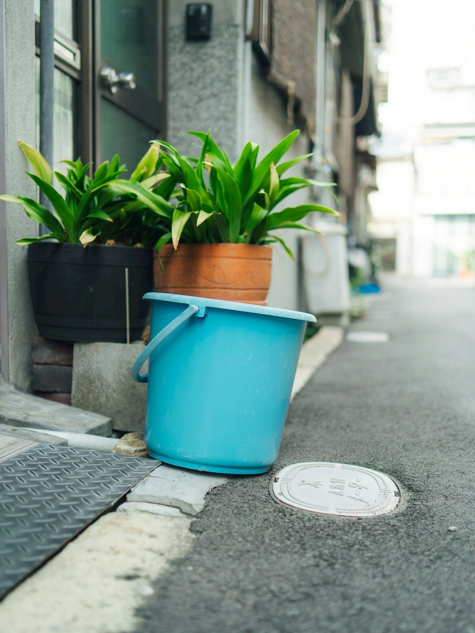 青いバケツと植物の鉢が並ぶ狭い路地の風景