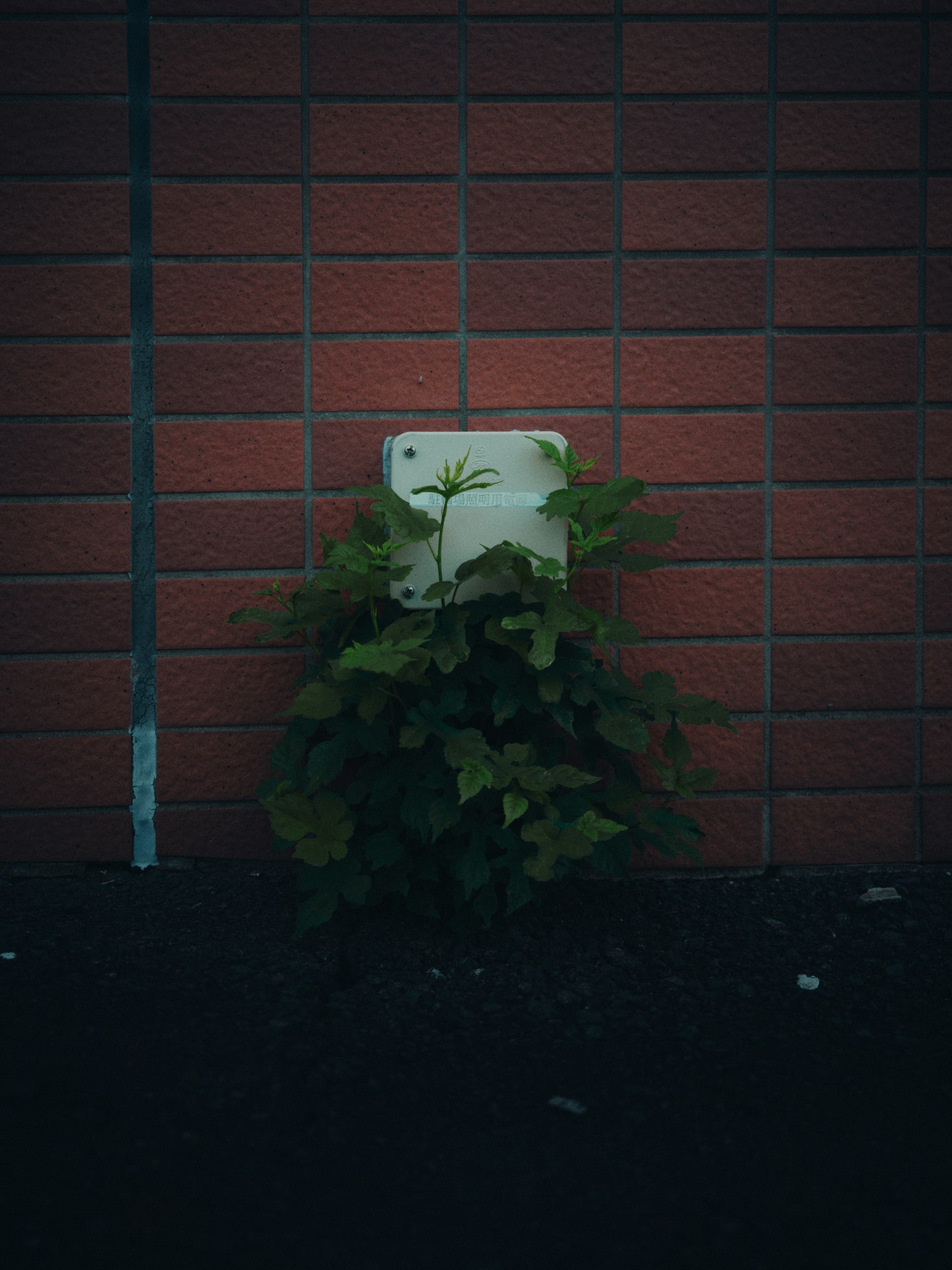 photo-QfwmDbn5lSWgvJQ0W0hy-image