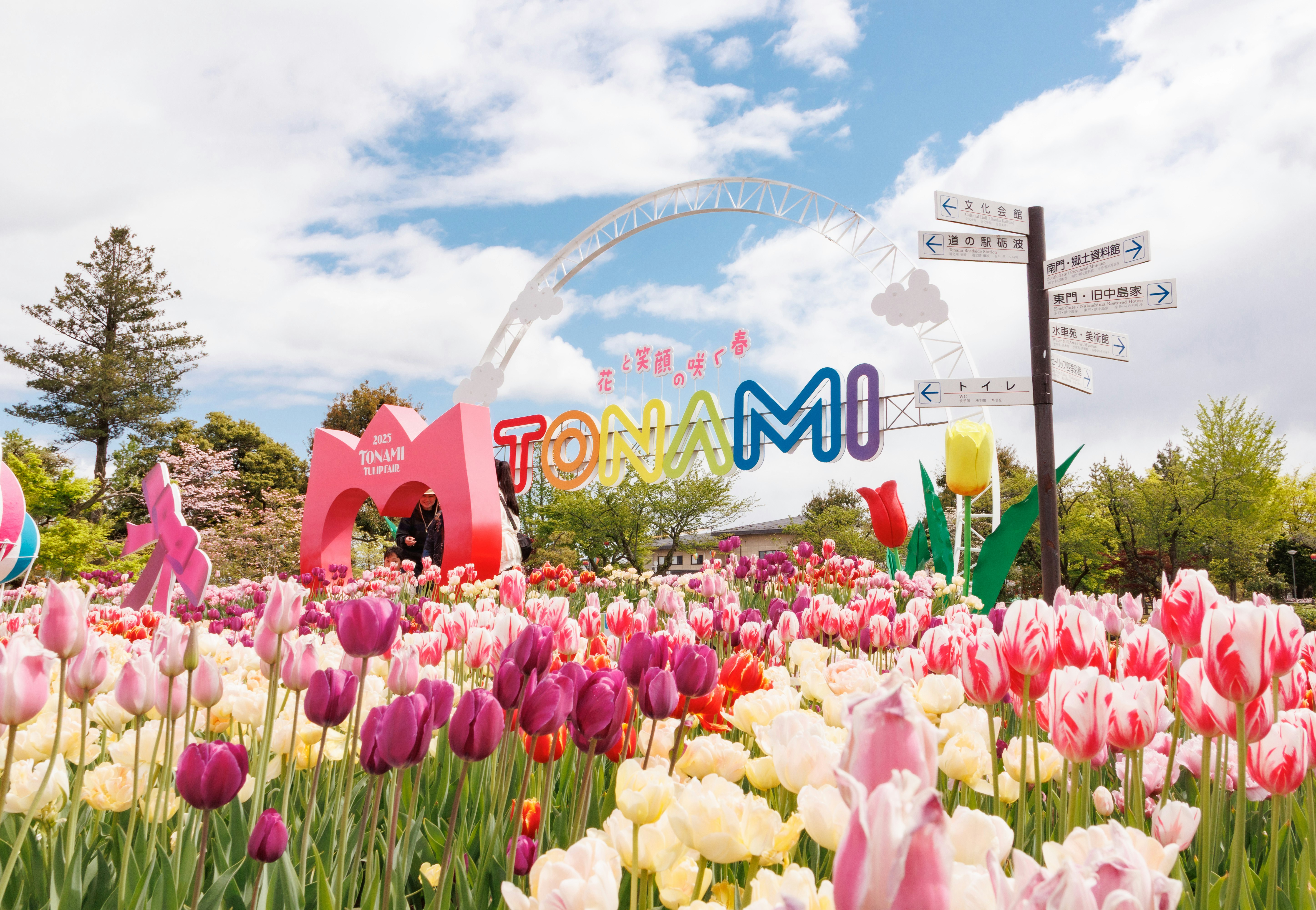 Un campo vibrante de tulipanes con un letrero colorido que dice TOMAMI