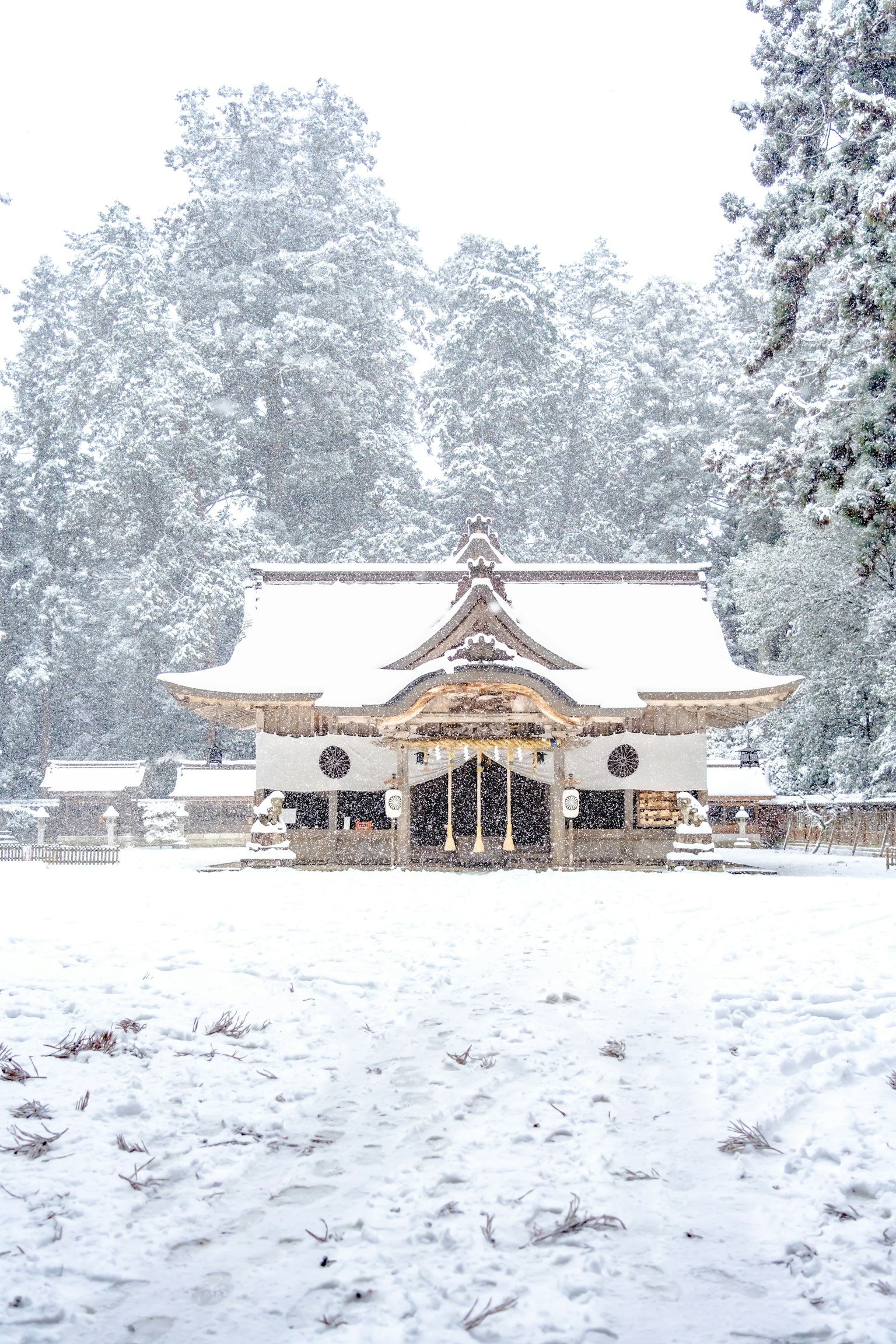 被雪覆盖的神社美丽景色，周围高大的树木营造出宁静的氛围