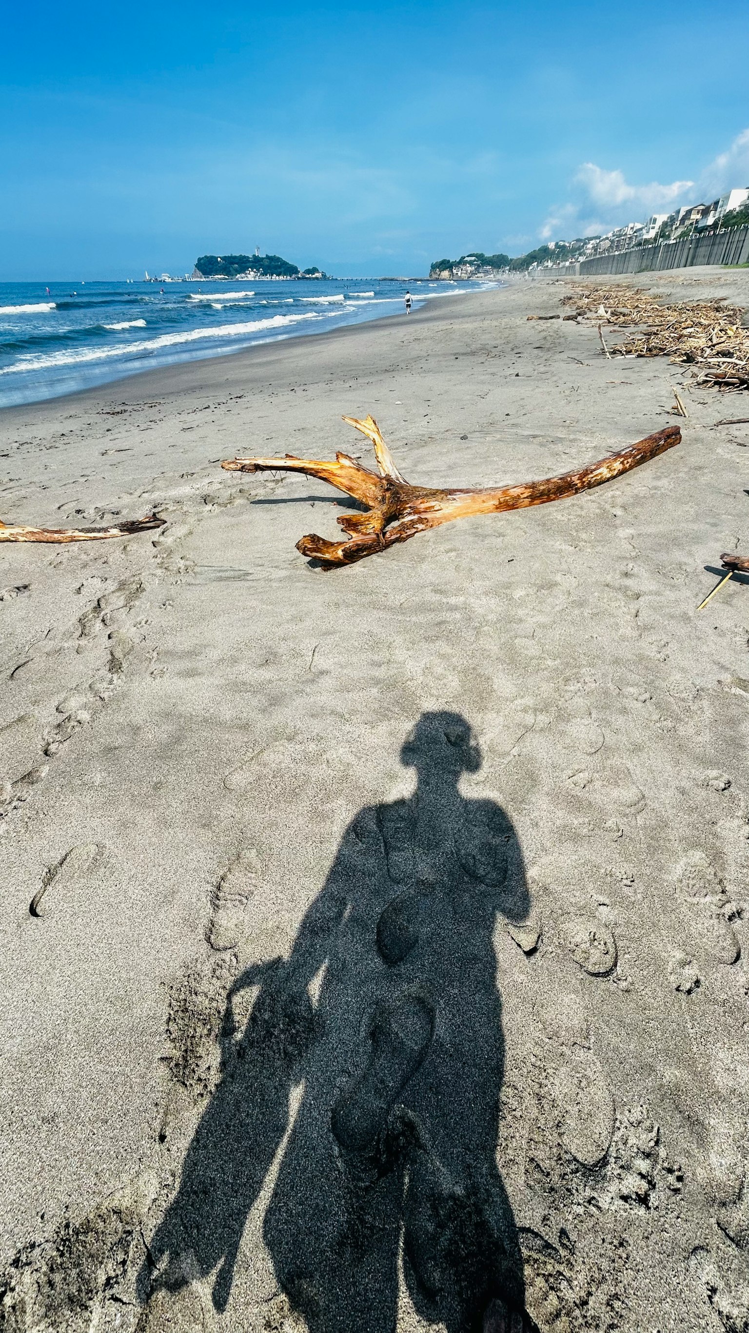 海滩沙子上一个人的影子，场景中有漂流木