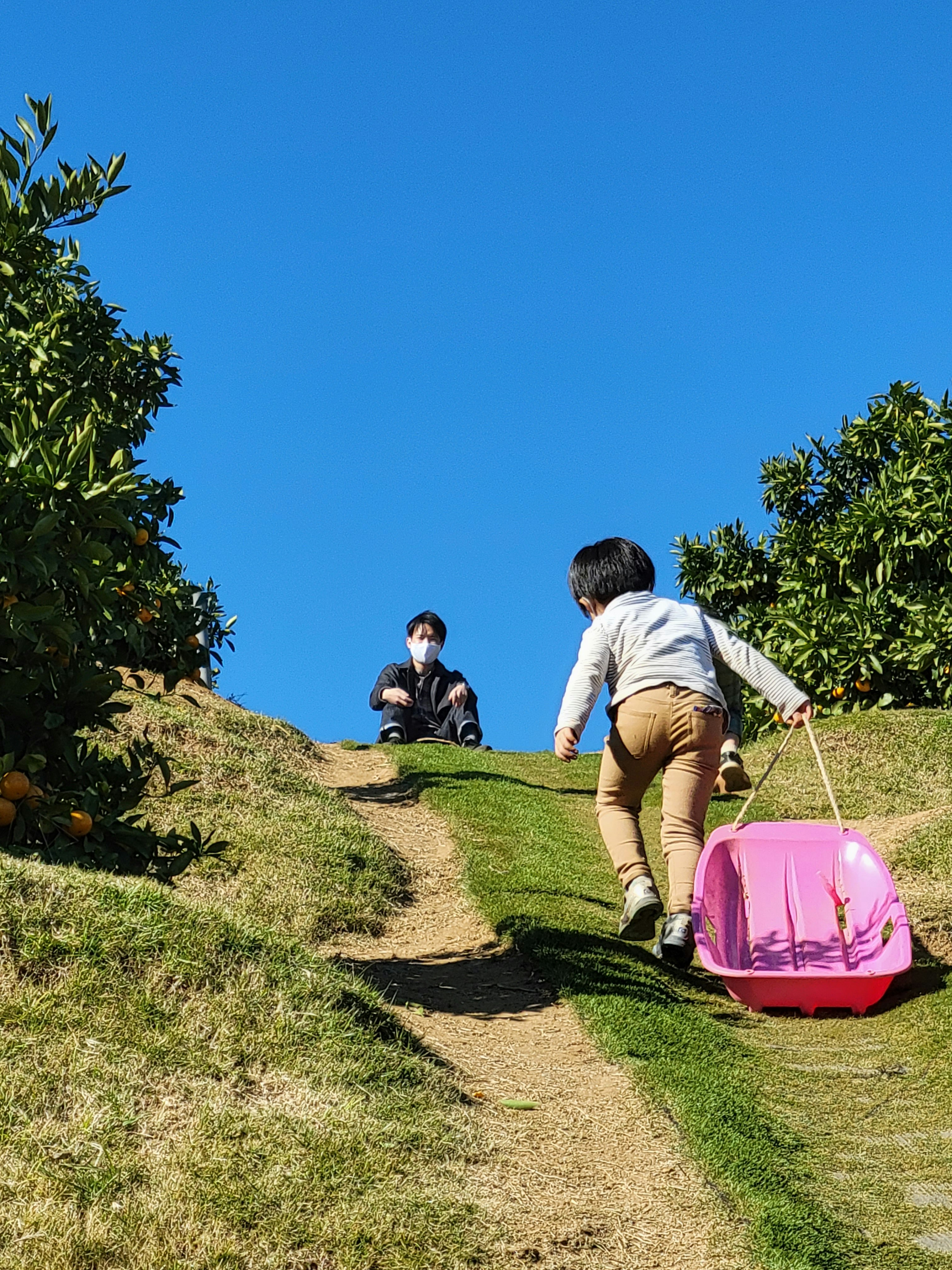 青空の下で芝生の小道を歩く親子とピンクのカート