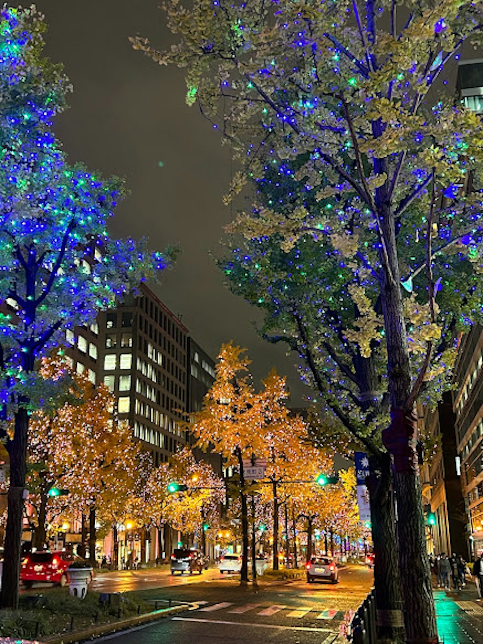 Trees illuminated by blue and orange lights in a city street at night