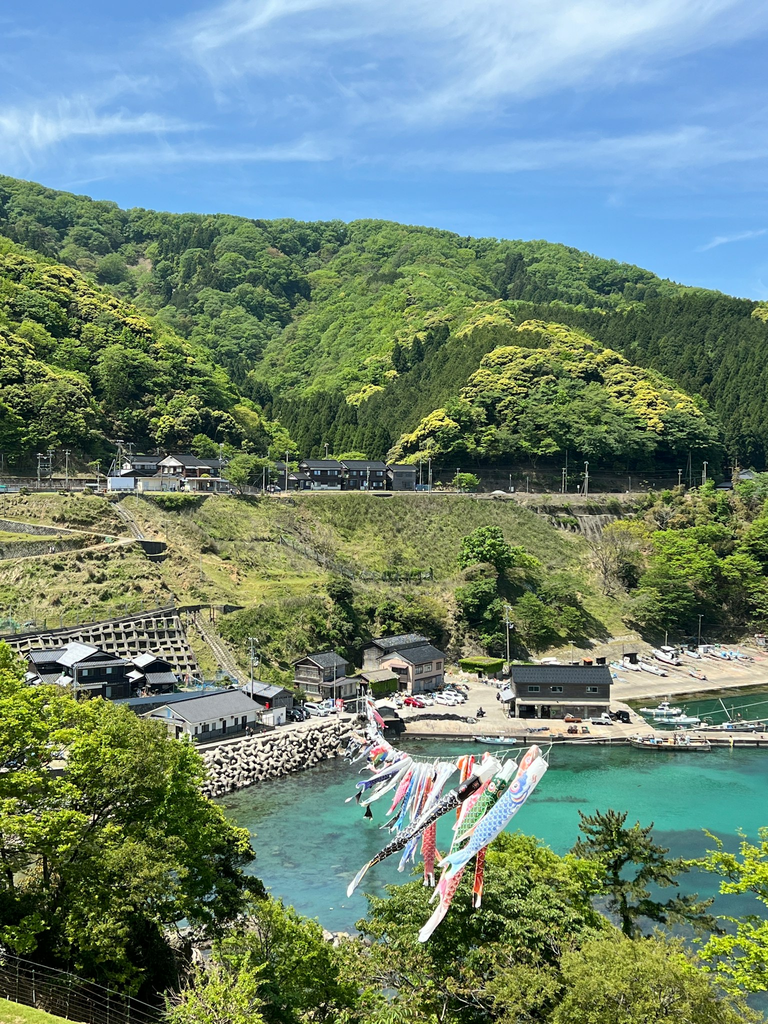 ภูเขาที่มีชีวิตชีวาและทะเลสีน้ำเงินพร้อมกับคอยโนโบริสีสันสดใส