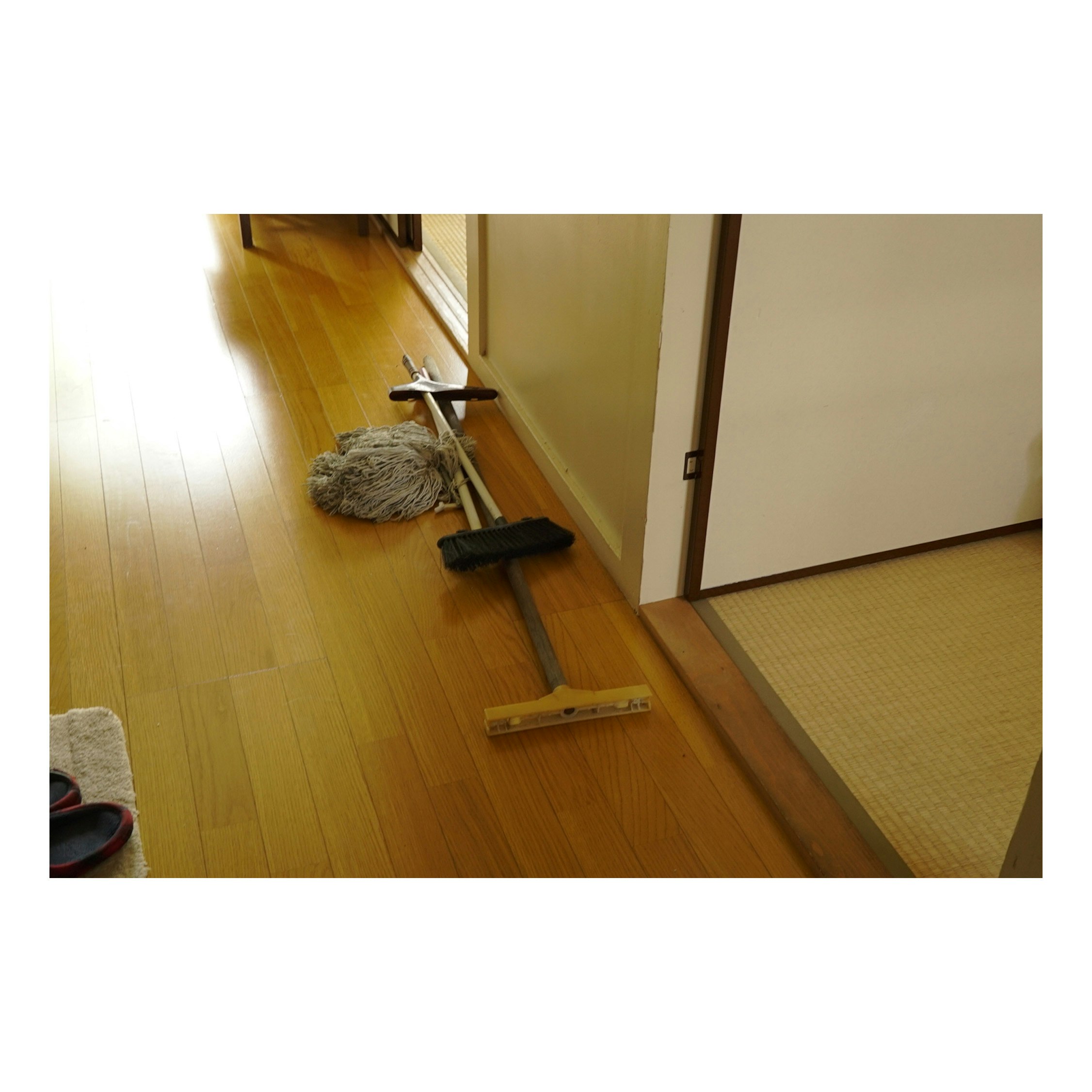 走廊地板上擺放的清潔工具和拖把