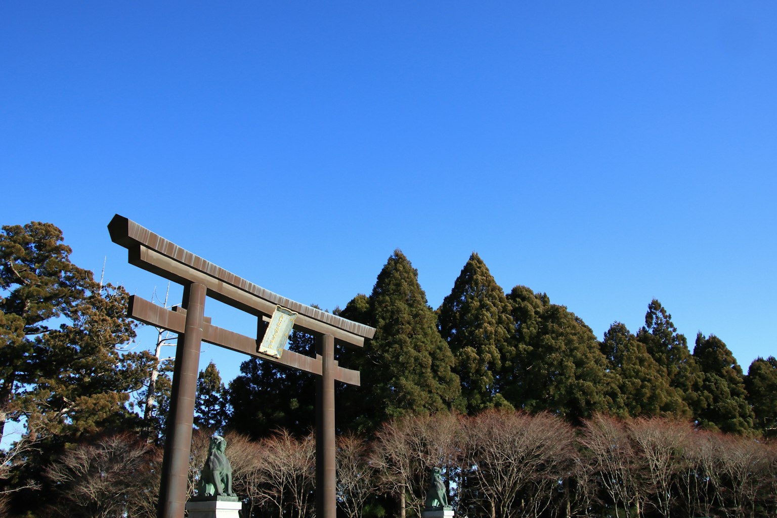 Cổng torii bằng gỗ dưới bầu trời xanh với cây xanh