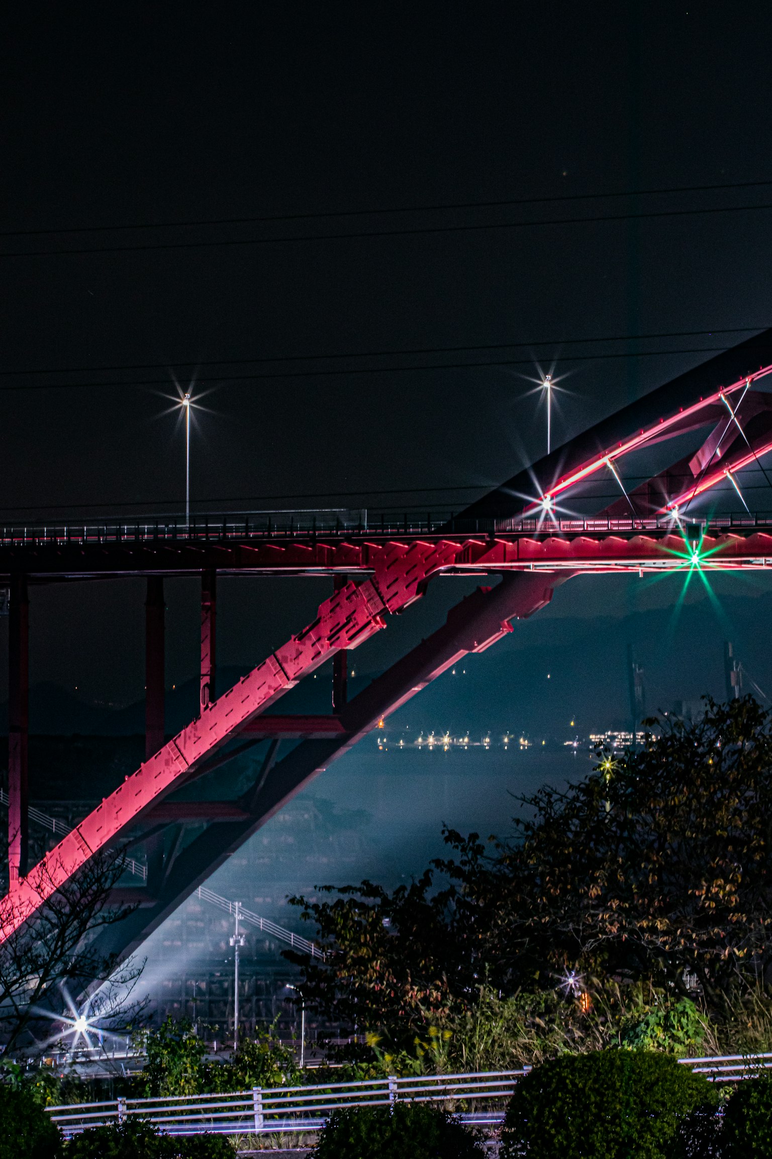 Beautifully lit red bridge at night with surrounding green plants
