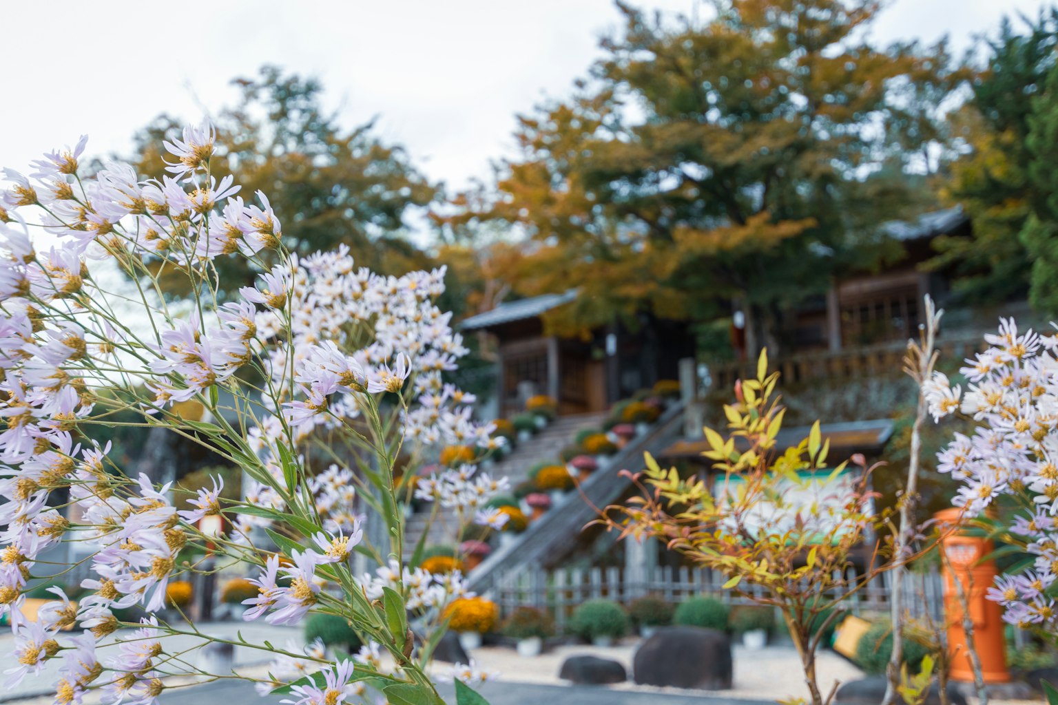 Vista panoramica di un santuario con fiori autunnali in fiore