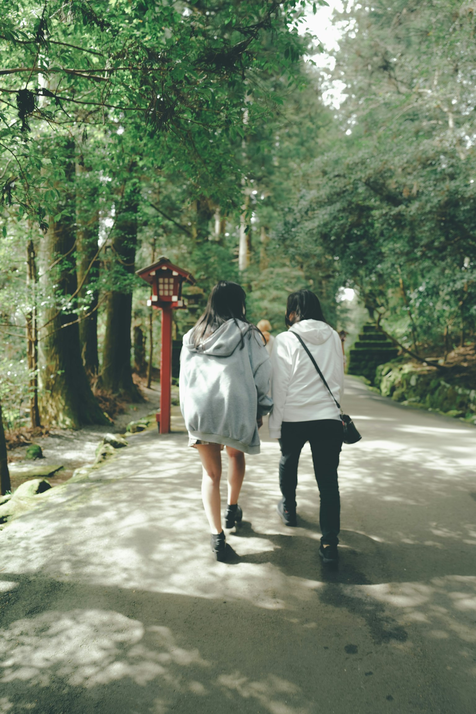 两名女性在树木环绕的绿色小路上行走
