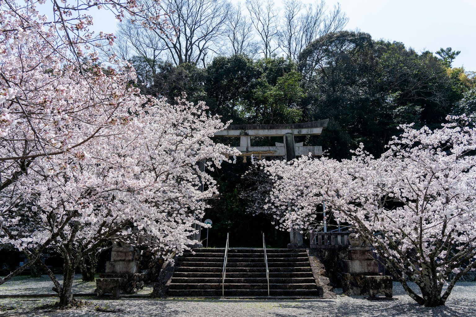 photo-Qit4sUfuW6XXyZ1cXKMR-image