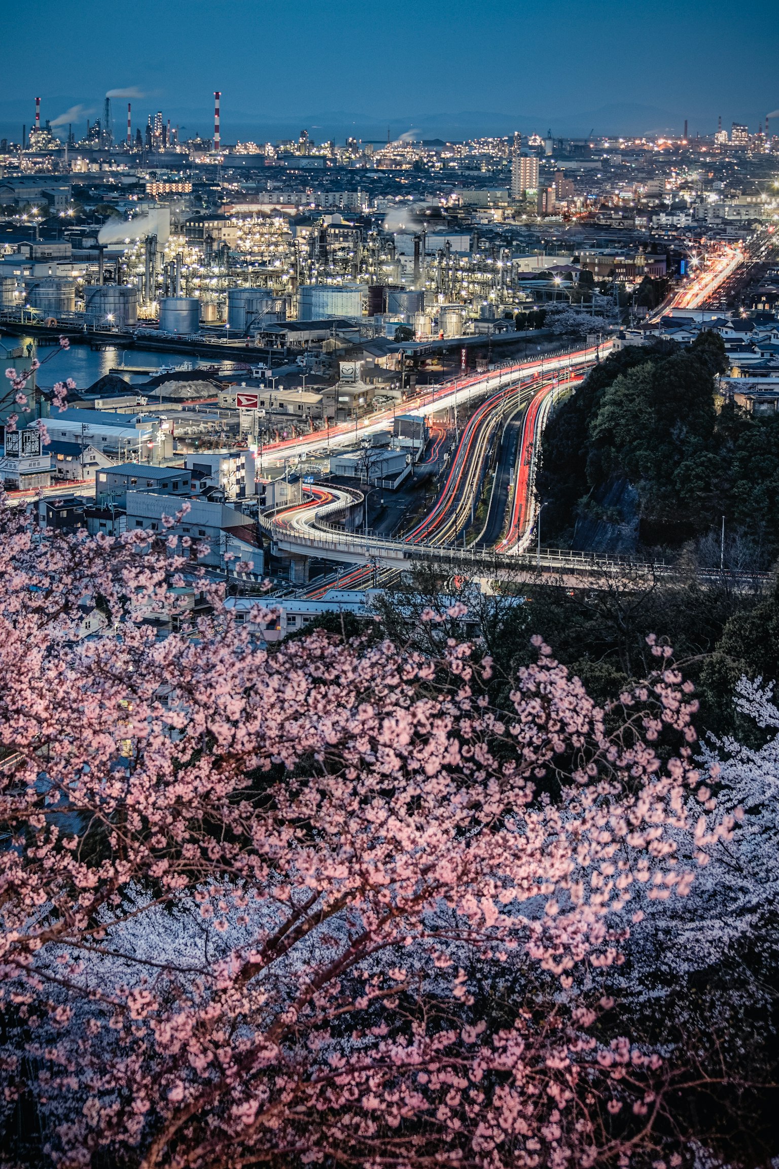 ทิวทัศน์ยามค่ำคืนที่สวยงามของซากุระและทิวทัศน์เมือง