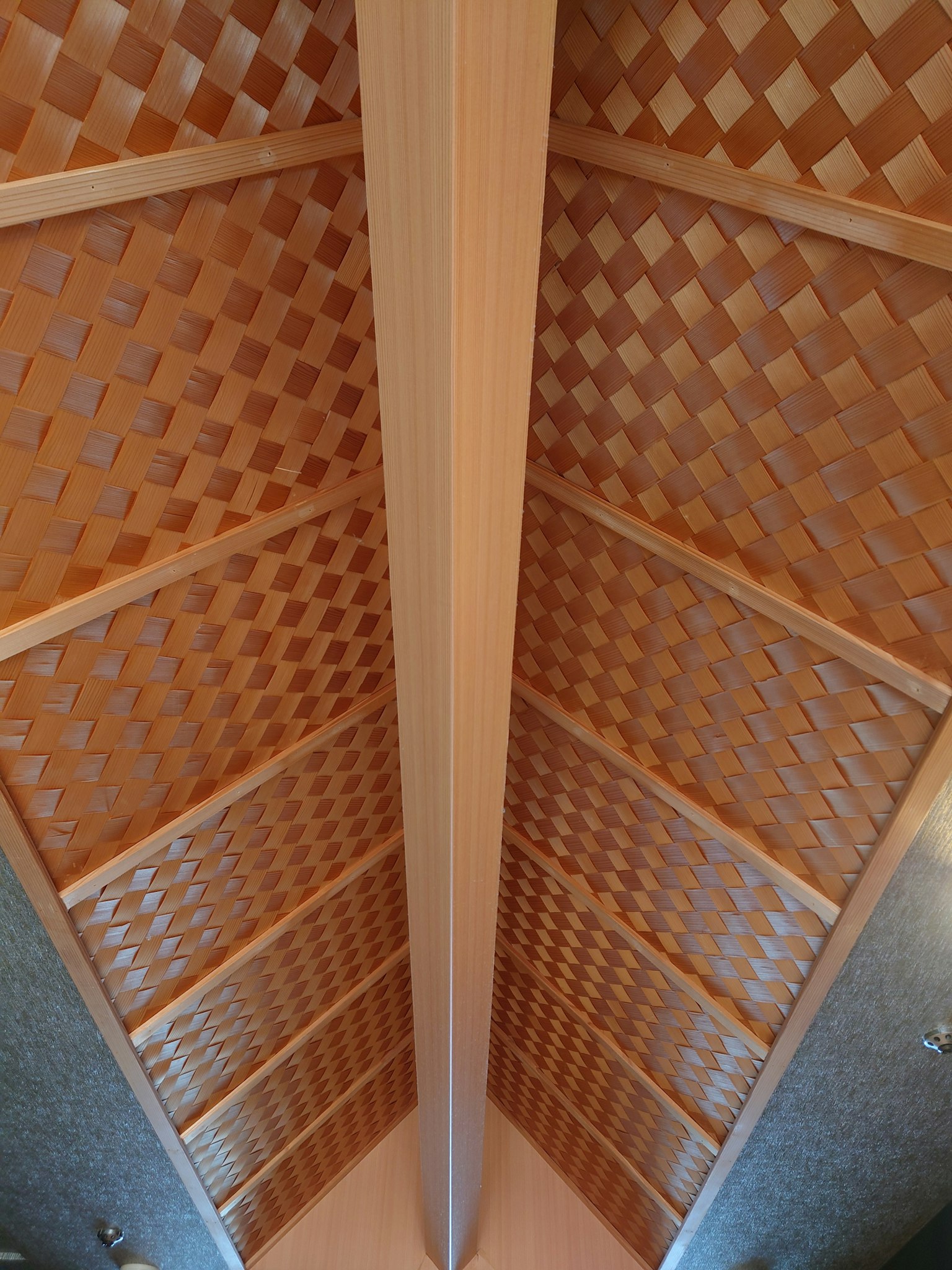 Immagine con un design di soffitto a griglia in legno distintivo