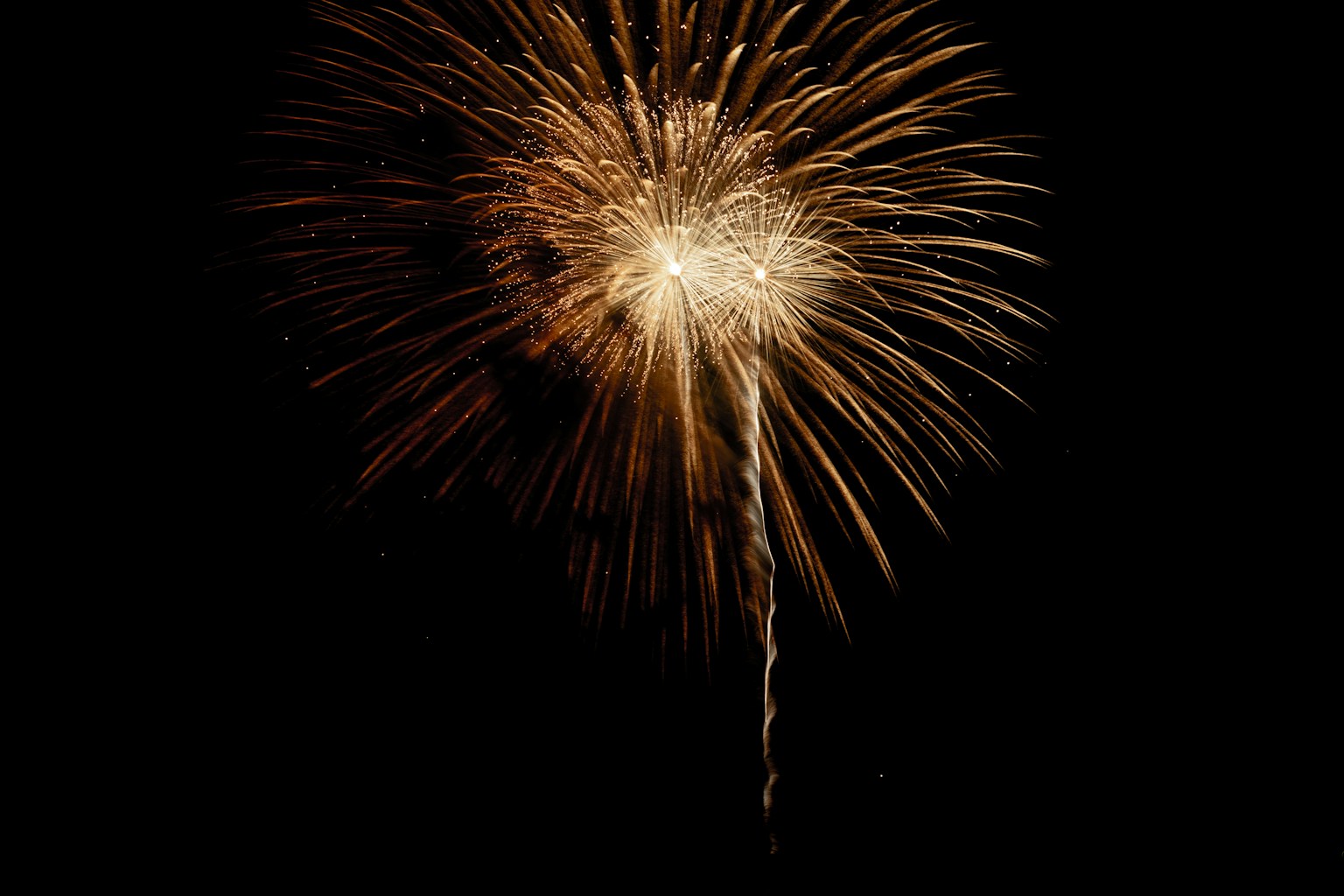 Golden firework explosion in the night sky