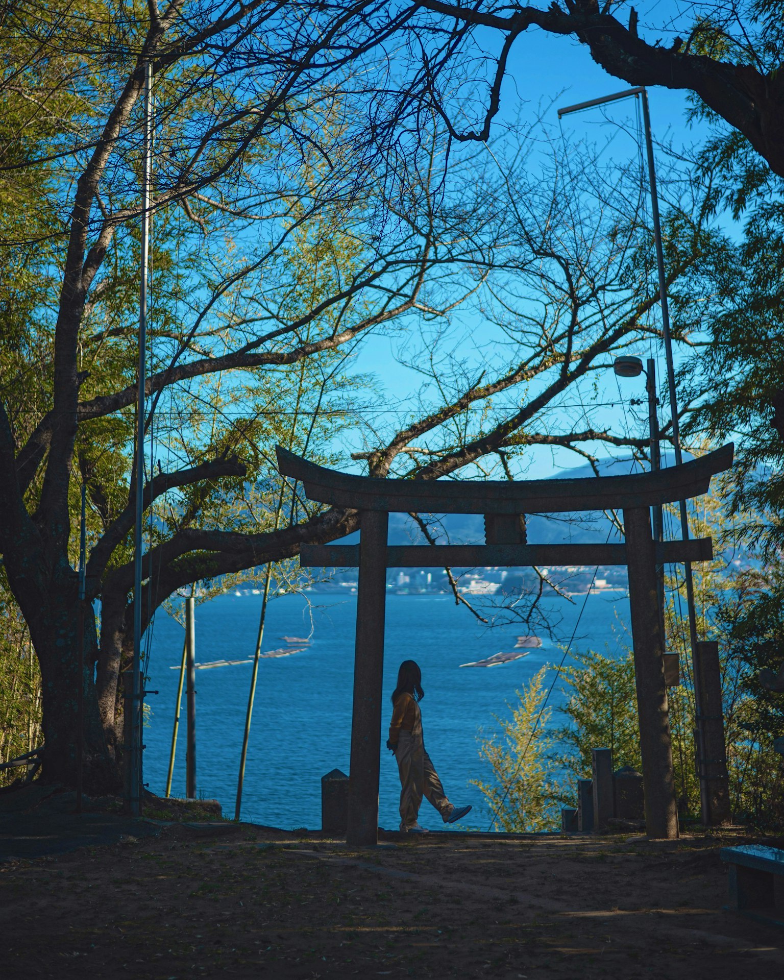 Silhouette của một người phụ nữ đang đi trước cổng torii với biển ở phía sau
