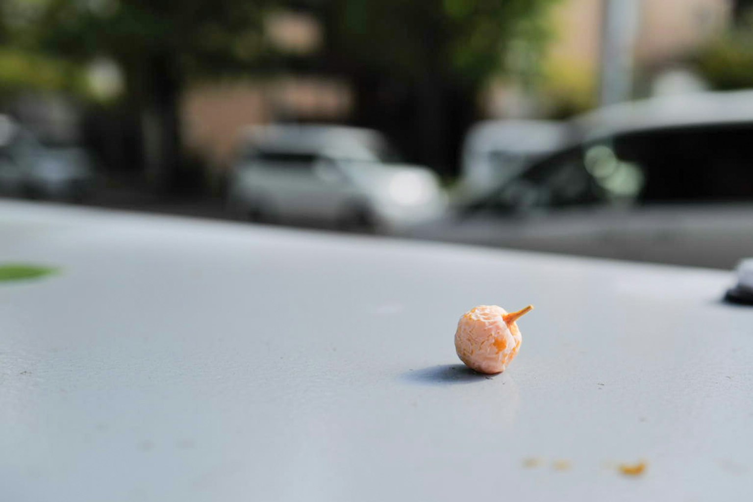 小さなピンク色の果実が車のボンネットに置かれている背景にはぼやけた車が見える