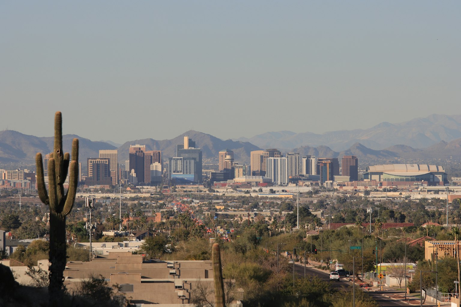 Horizonte de Phoenix con un cactus en primer plano