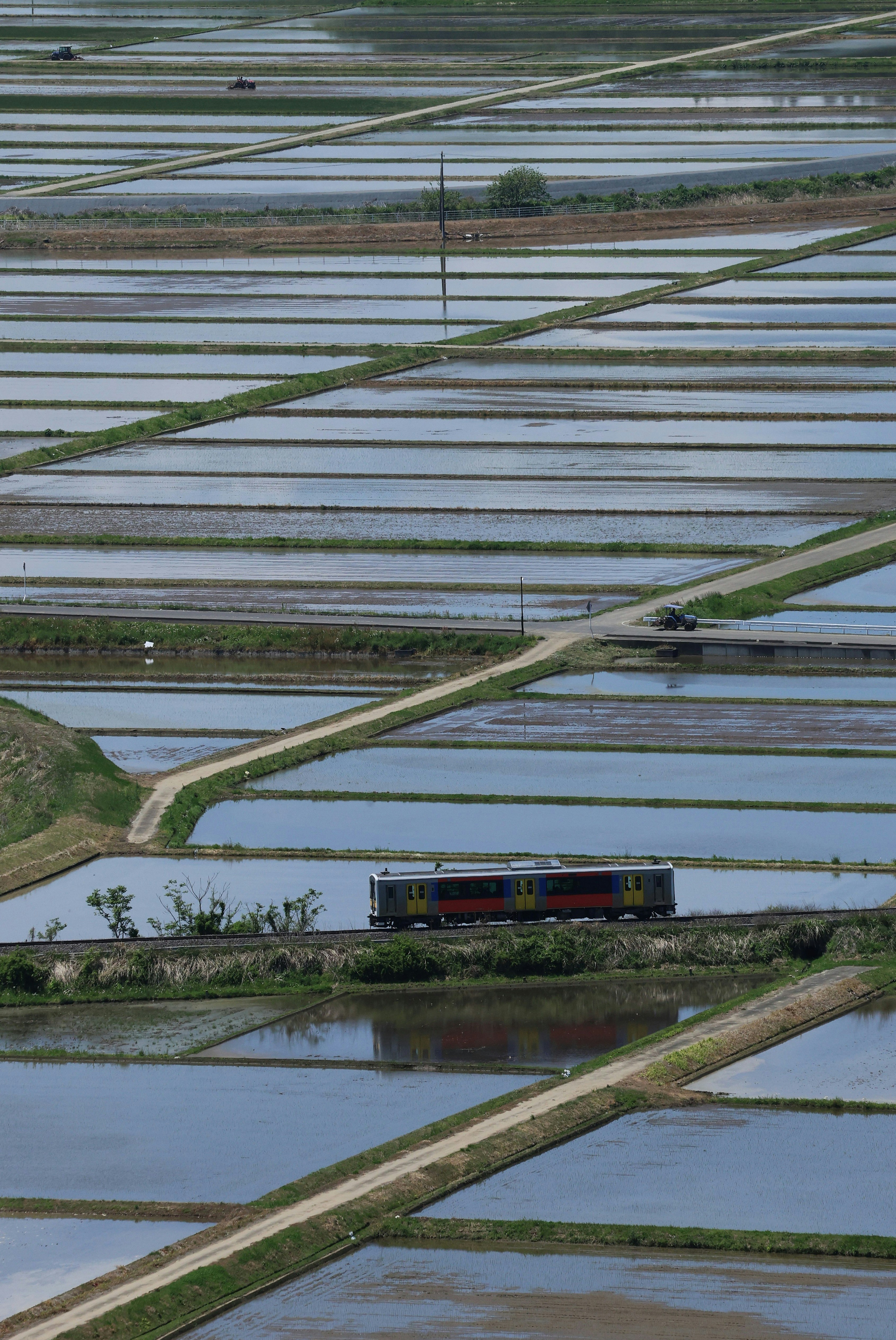水田の水路を横切る列車のある田植え風景
