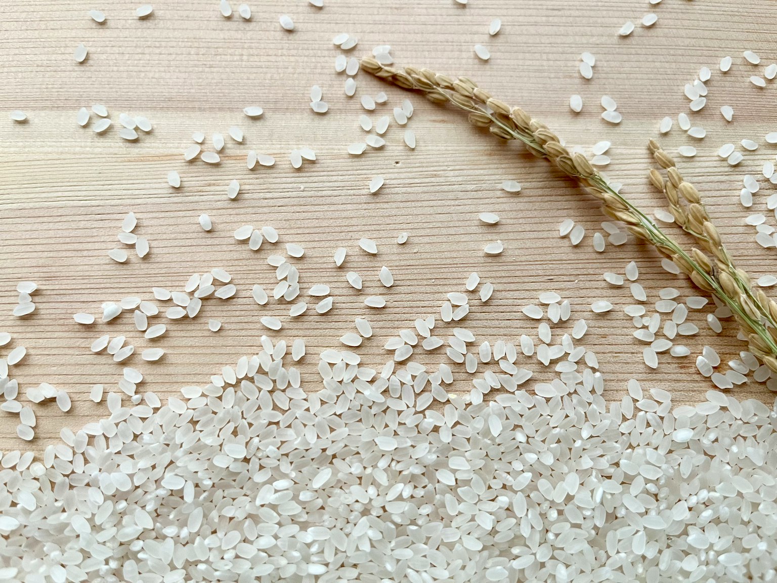 grani di riso bianchi sparsi e una spiga di grano su una superficie di legno