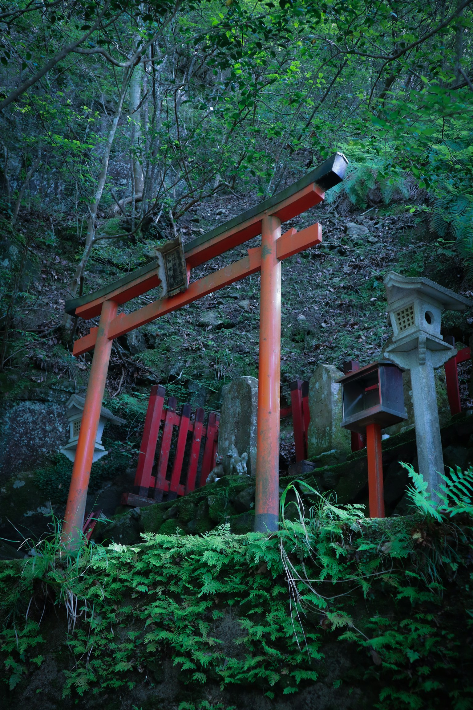 Un paisaje sereno que presenta una puerta torii roja y faroles de piedra con un fondo verde