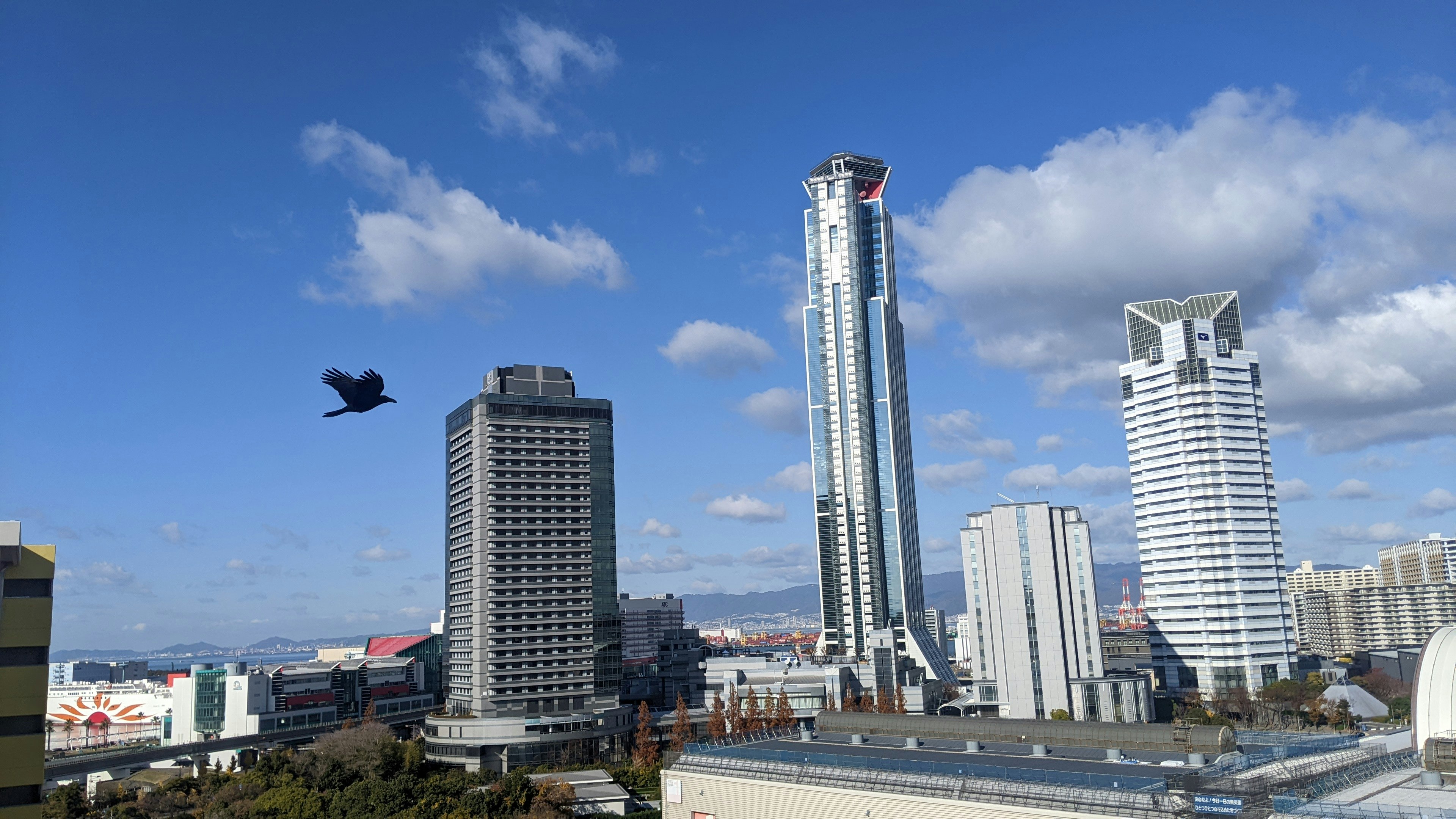 高層ビルと青空の風景に飛ぶ鳥